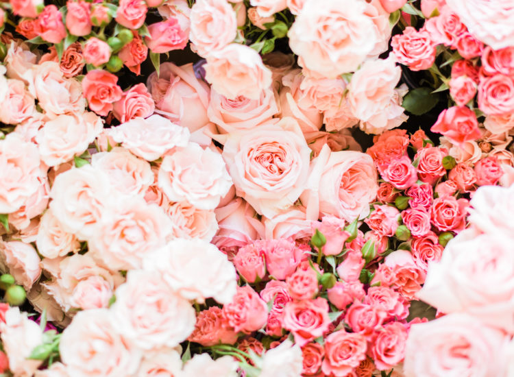 roses