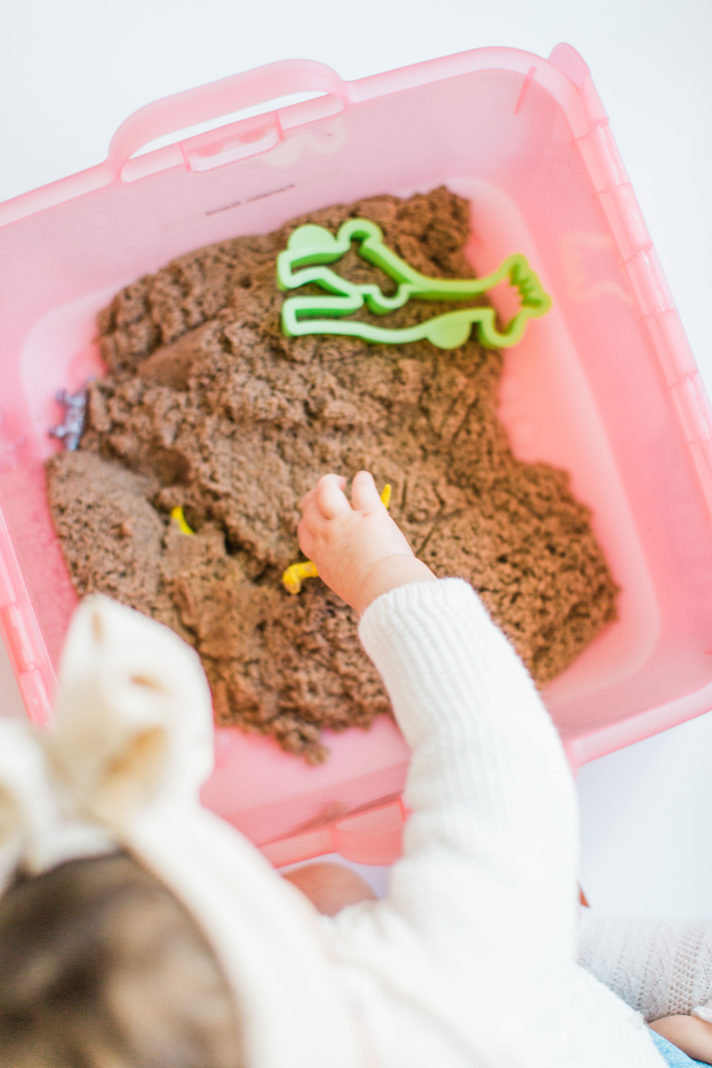 Sensory Bin, Pet Sensory Bin, Kinetic Sand Kit, Sensory Bin for