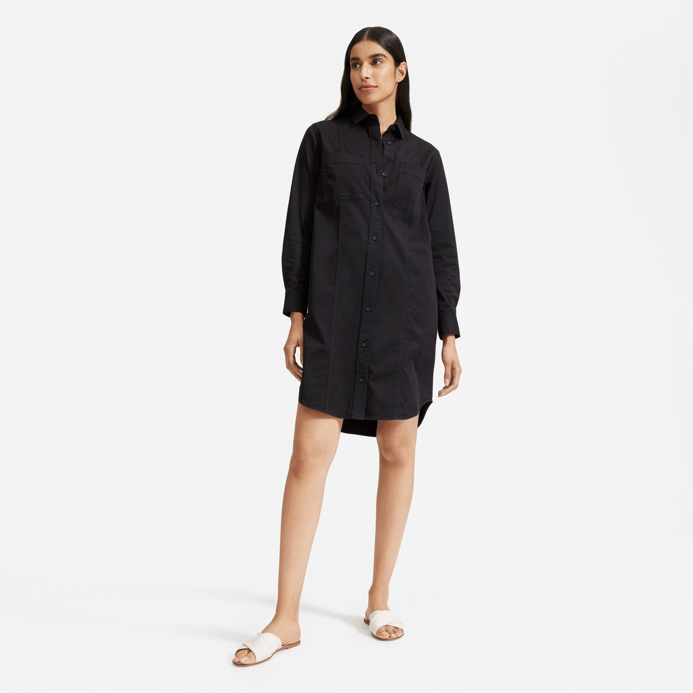 Everlane The Modern Utility Shirtdress, a find