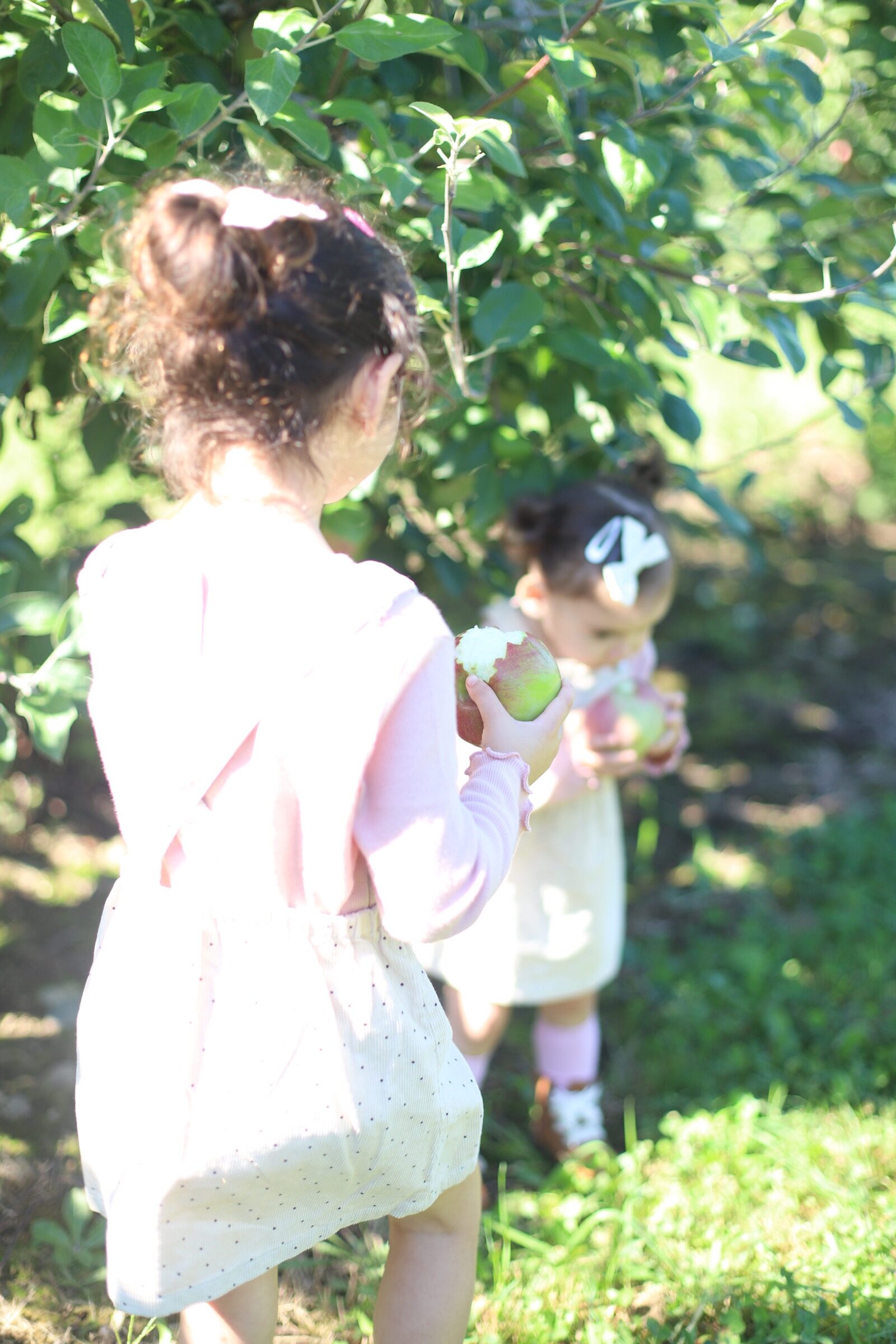 Two little girls eating their freshly-picked apples at Brooksby Farm in Peabody, Massachusetts // Fall Bucket List | glitterinc.com | @glitterinc