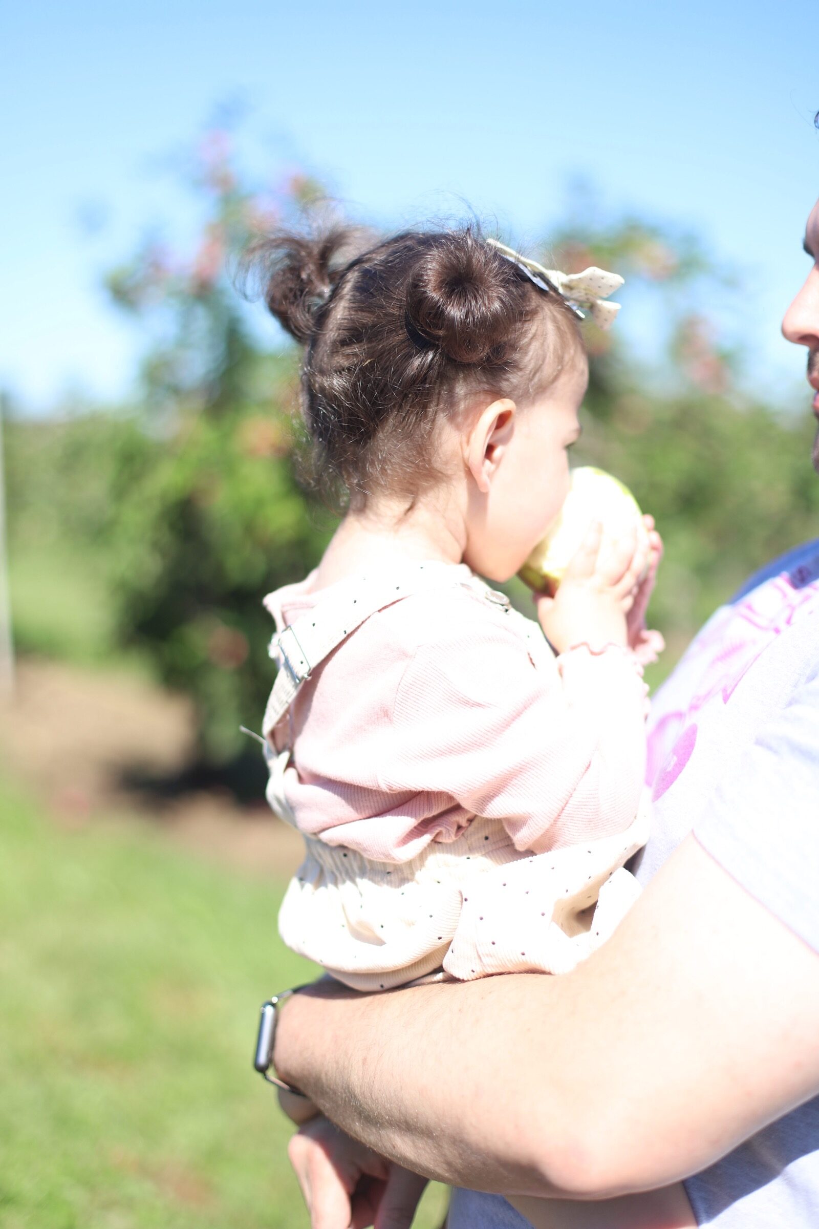 A trip to an apple orchard here in New England, complete with apple picking, barnyard animals, hayrides, and homemade donuts and pie. // Brooksby Farm in Peabody, Massachusetts // Fall Bucket List | glitterinc.com | @glitterinc