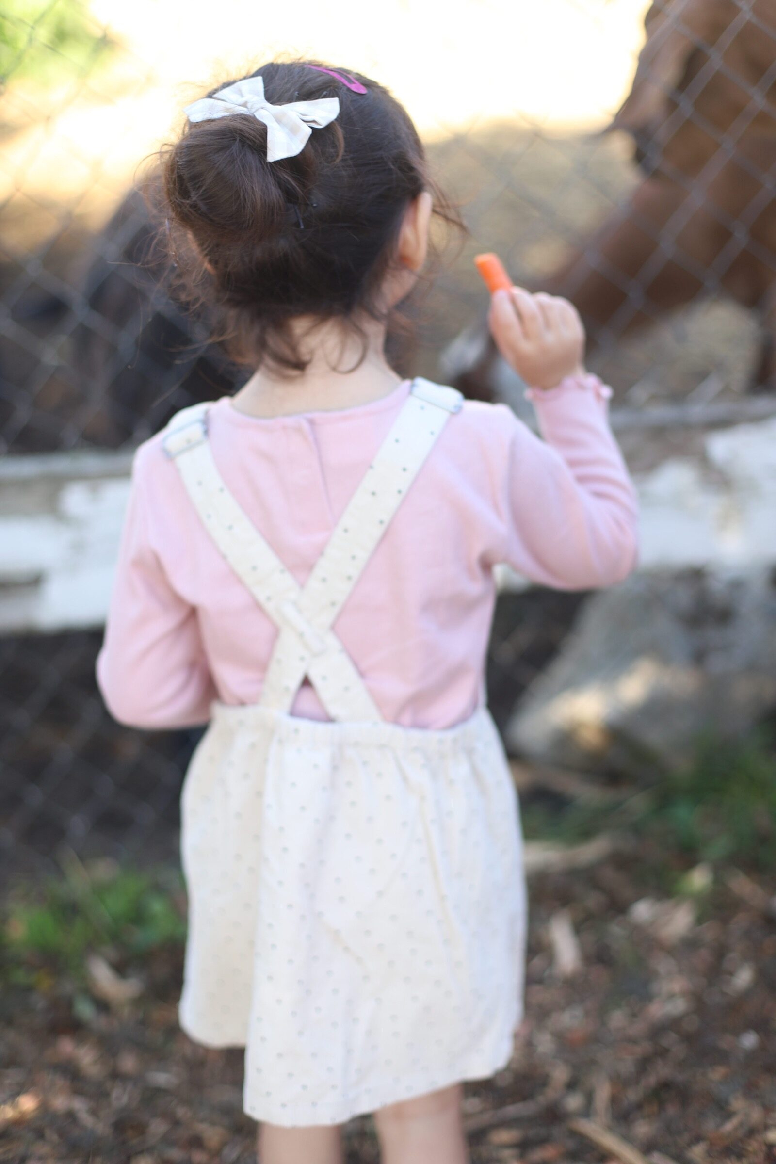 A little girl feeding carrots to animals at Brooksby Farm in Peabody, Massachusetts // Fall Bucket List | glitterinc.com | @glitterinc