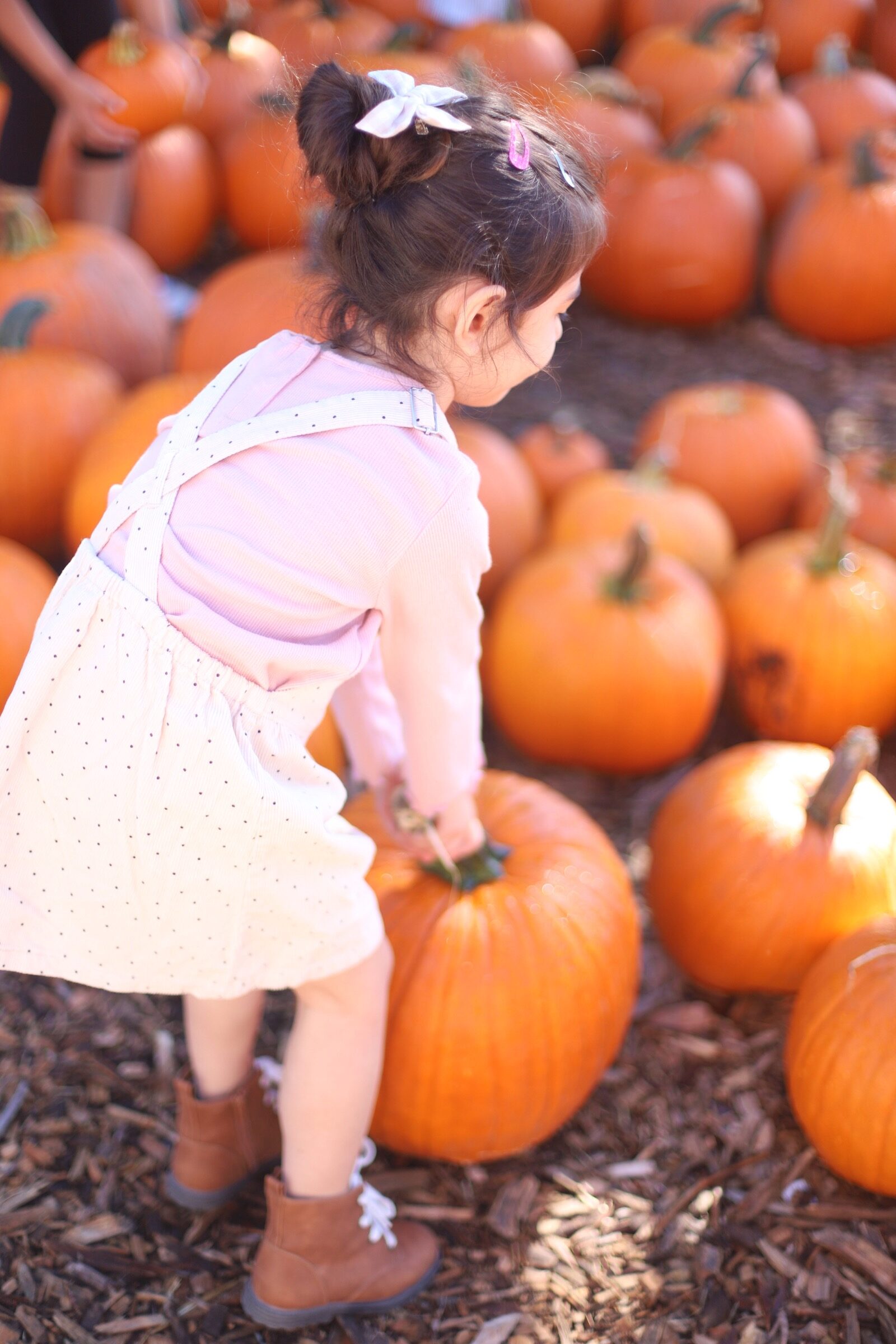 A little girl surrounded by pumpkins during a trip to an apple orchard here in New England, complete with apple picking, barnyard animals, hayrides, and homemade donuts and pie. // Brooksby Farm in Peabody, Massachusetts // Fall Bucket List | glitterinc.com | @glitterinc