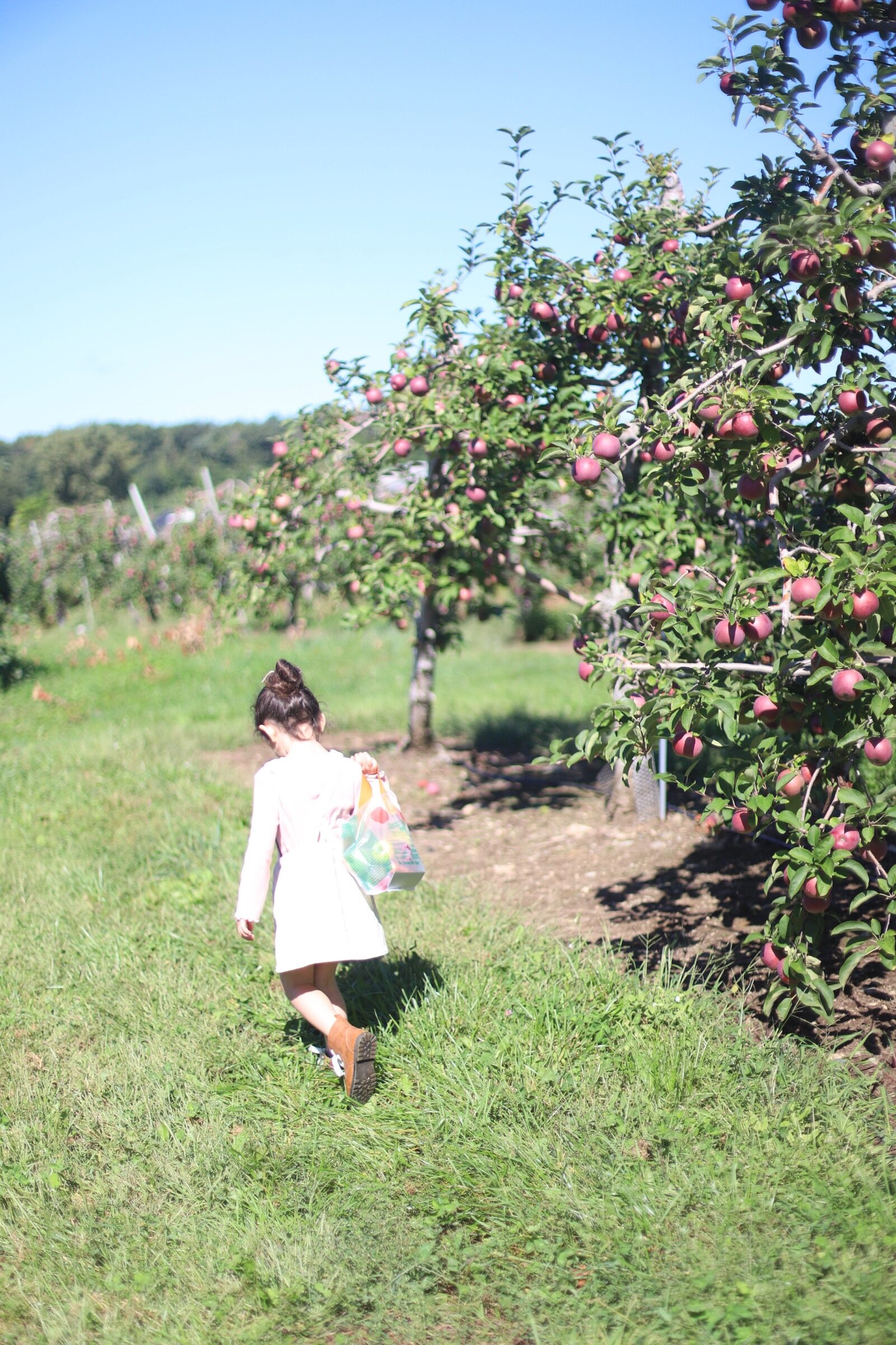 A child with a bag of apples at Brooksby Farm in Peabody, Massachusetts // Fall Bucket List | glitterinc.com | @glitterinc