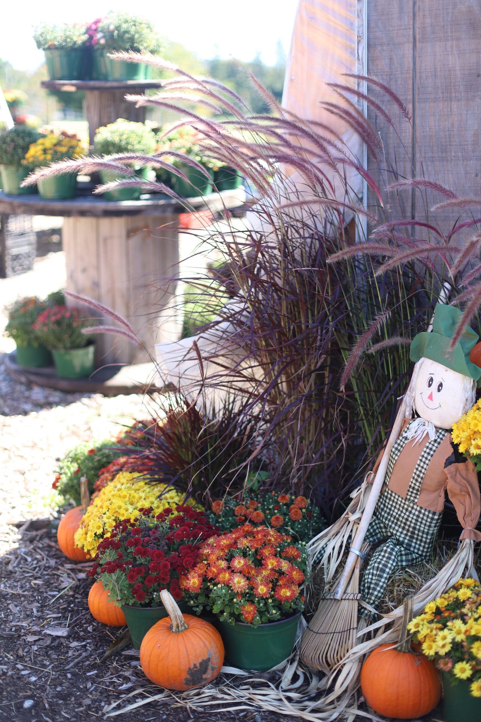 A trip to an apple orchard here in New England, complete with apple picking, barnyard animals, hayrides, and homemade donuts and pie. // Brooksby Farm in Peabody, Massachusetts // Fall Bucket List | glitterinc.com | @glitterinc