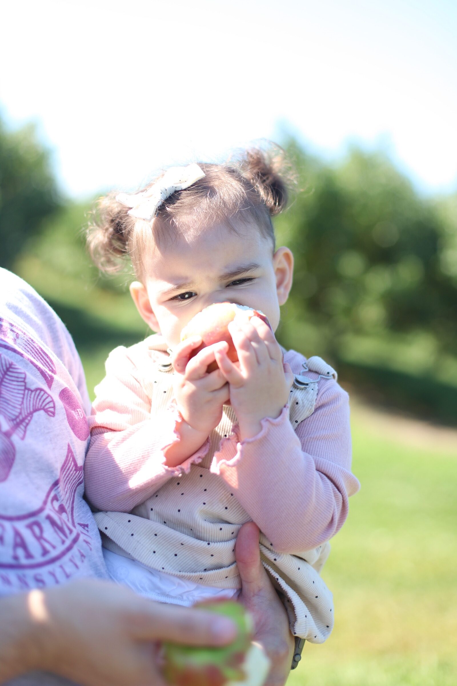 A baby girl biting her apple at Brooksby Farm in Peabody, Massachusetts // Fall Bucket List | glitterinc.com | @glitterinc