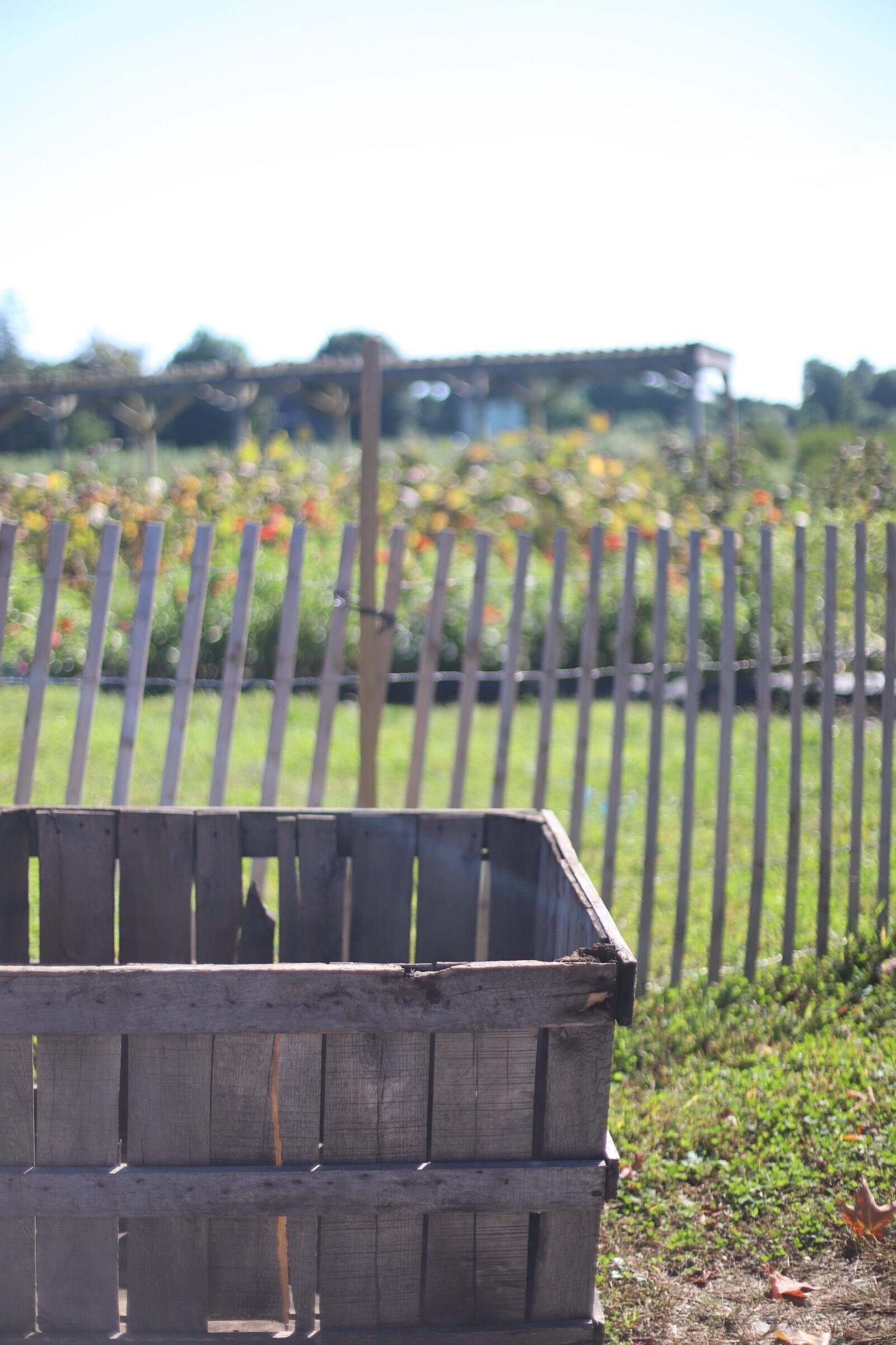 A crate found at Brooksby Farm in Peabody, Massachusetts // Fall Bucket List | glitterinc.com | @glitterinc