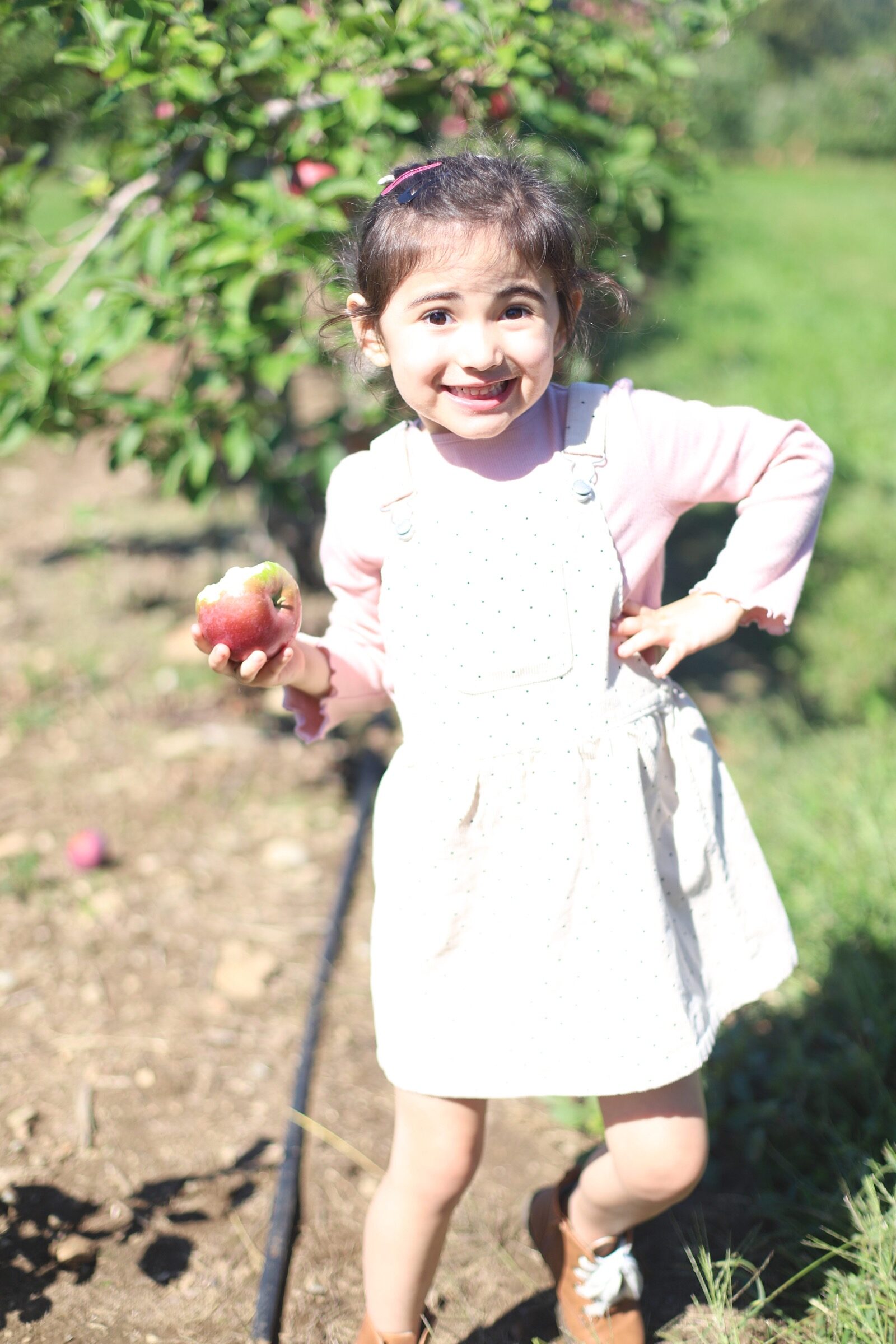 A little girl posing with her apple at Brooksby Farm in Peabody, Massachusetts // Fall Bucket List | glitterinc.com | @glitterinc