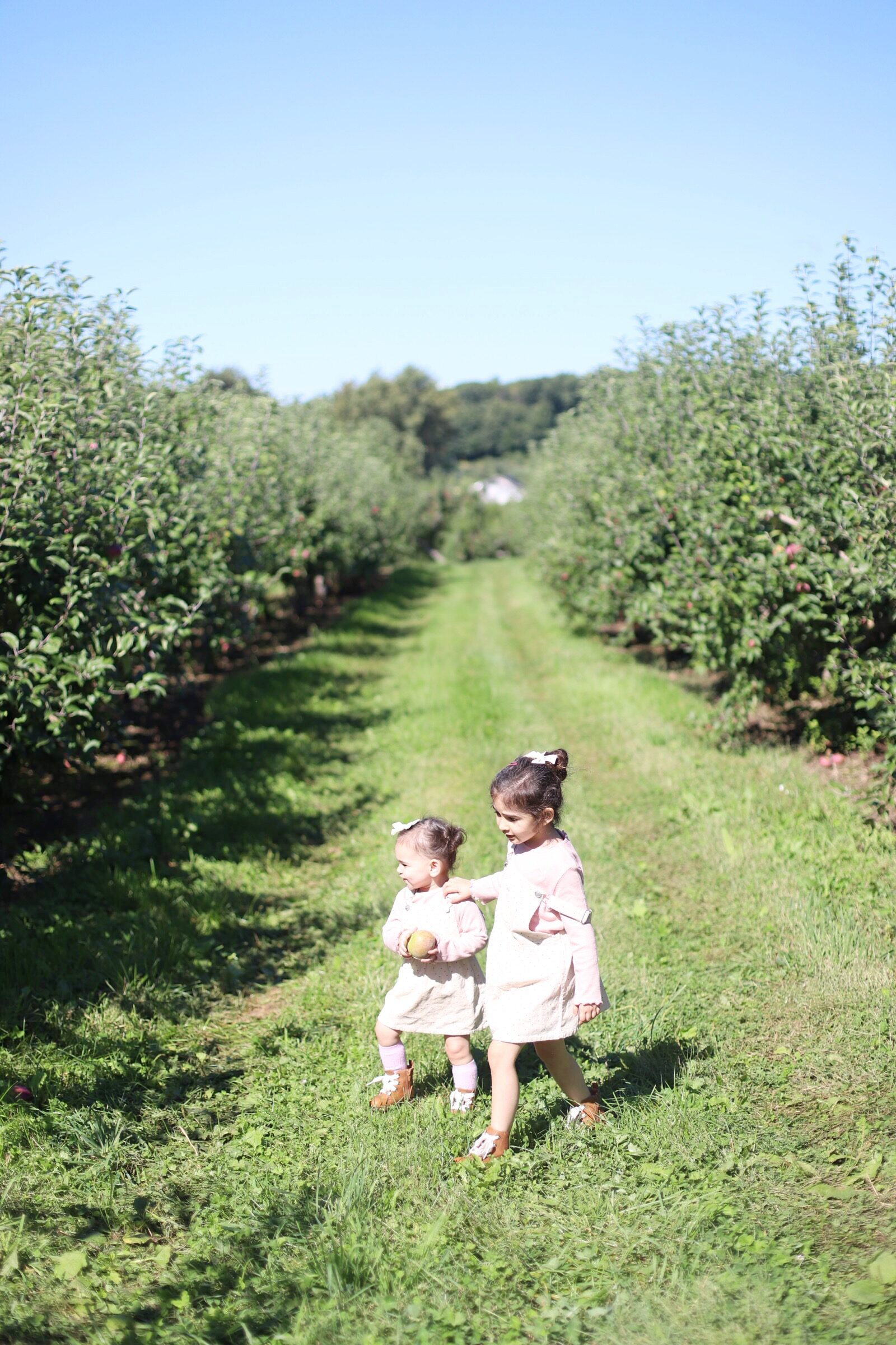 Two little girls at Brooksby Farm in Peabody, Massachusetts // Fall Bucket List | glitterinc.com | @glitterinc