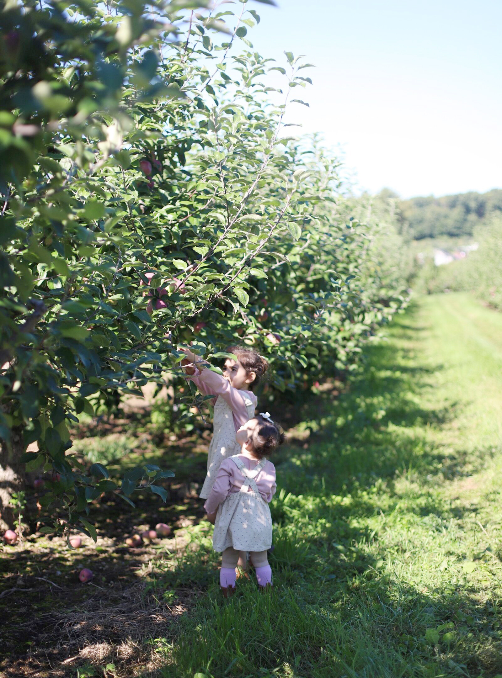 Two children enjoying apple pickingat Brooksby Farm in Peabody, Massachusetts // Fall Bucket List | glitterinc.com | @glitterinc