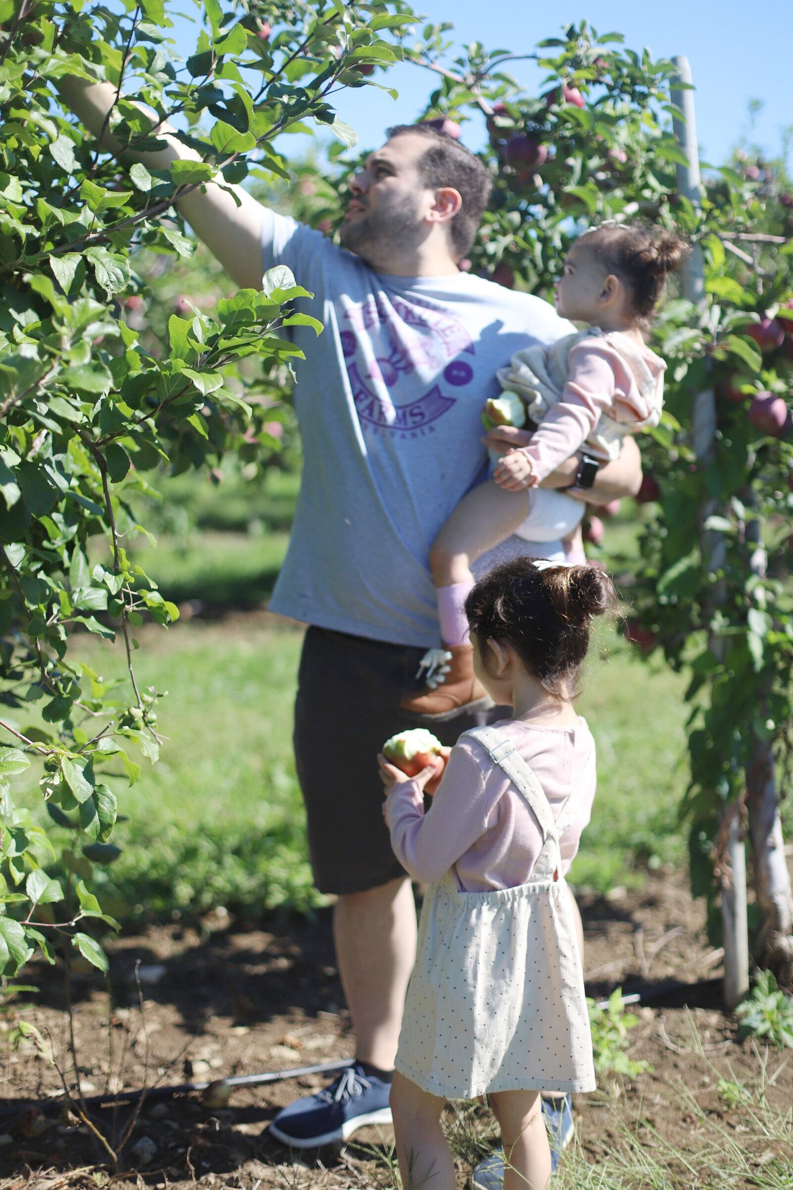 Father and daughters apple picking at Brooksby Farm in Peabody, Massachusetts // Fall Bucket List | glitterinc.com | @glitterinc