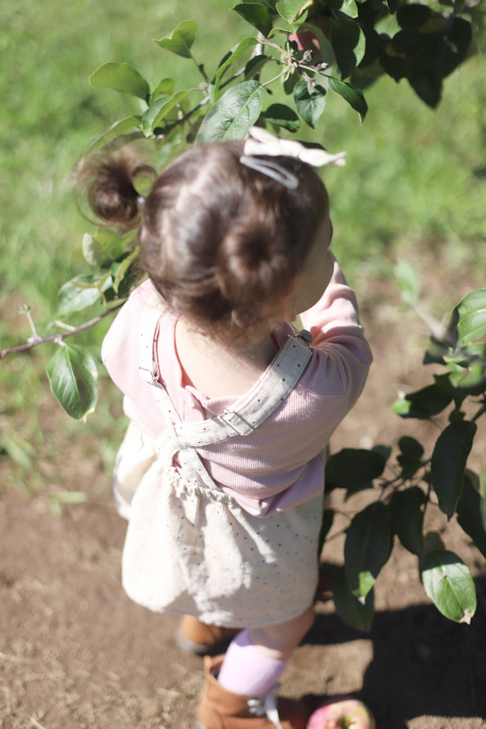 A little girl at Brooksby Farm in Peabody, Massachusetts // Fall Bucket List | glitterinc.com | @glitterinc