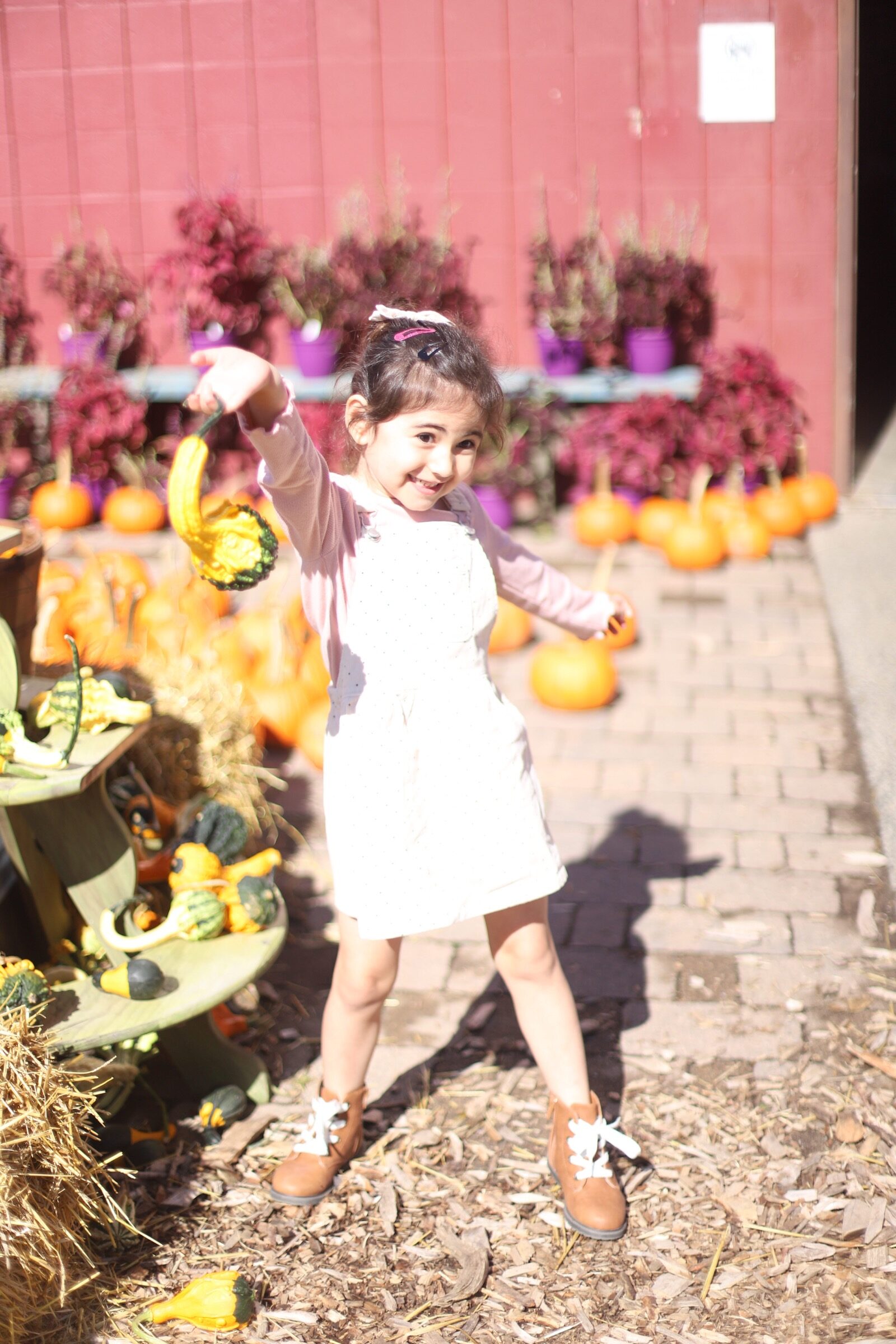 A little girl posing with pumpkins during a trip to an apple orchard here in New England, complete with apple picking, barnyard animals, hayrides, and homemade donuts and pie. // Brooksby Farm in Peabody, Massachusetts // Fall Bucket List | glitterinc.com | @glitterinc