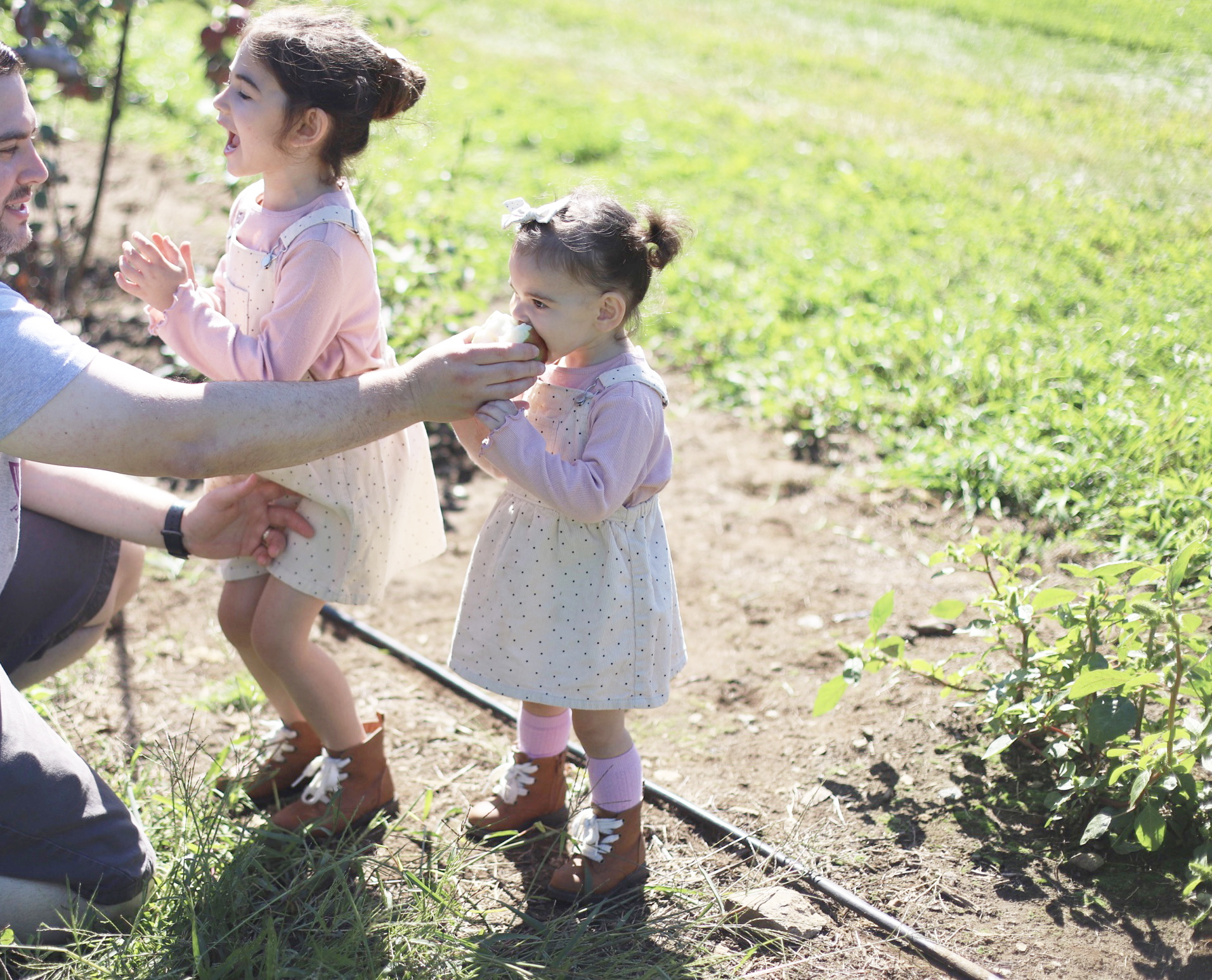 Father feeding his daughter an apple at Brooksby Farm in Peabody, Massachusetts // Fall Bucket List | glitterinc.com | @glitterinc