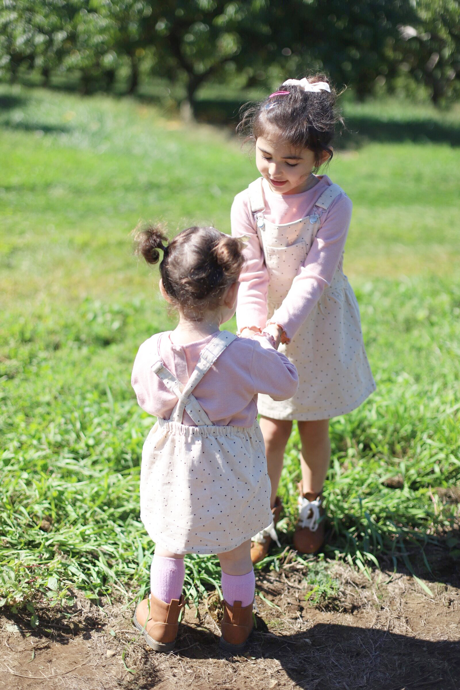 A trip to an apple orchard here in New England, complete with apple picking, barnyard animals, hayrides, and homemade donuts and pie. // Brooksby Farm in Peabody, Massachusetts // Fall Bucket List | glitterinc.com | @glitterinc