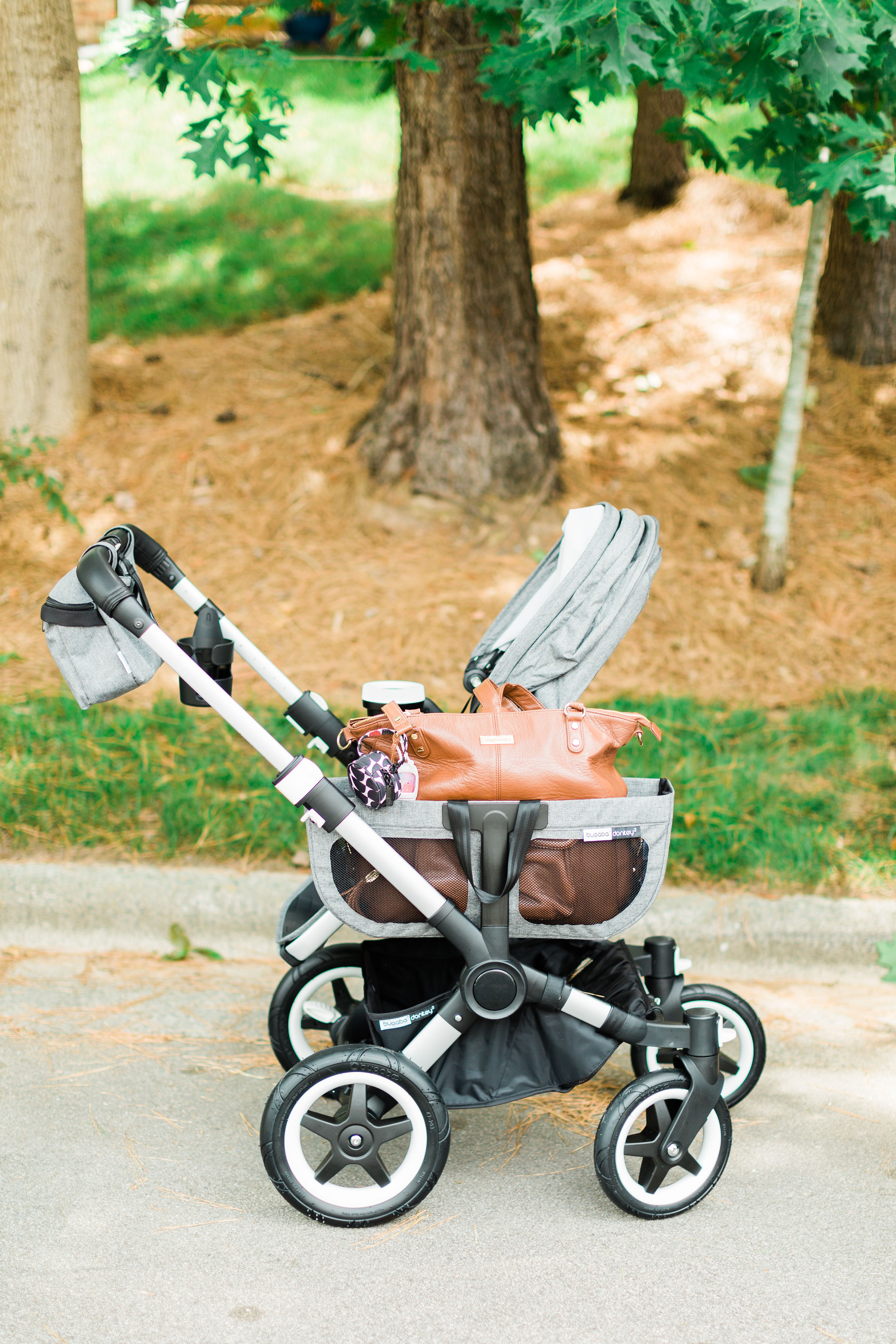 Our Review of the All New Bugaboo Donkey2 Stroller Glitter Inc