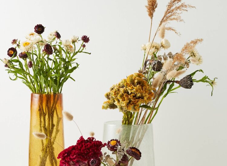 Soho Home x Anthropologie Barcelona Glass Vase