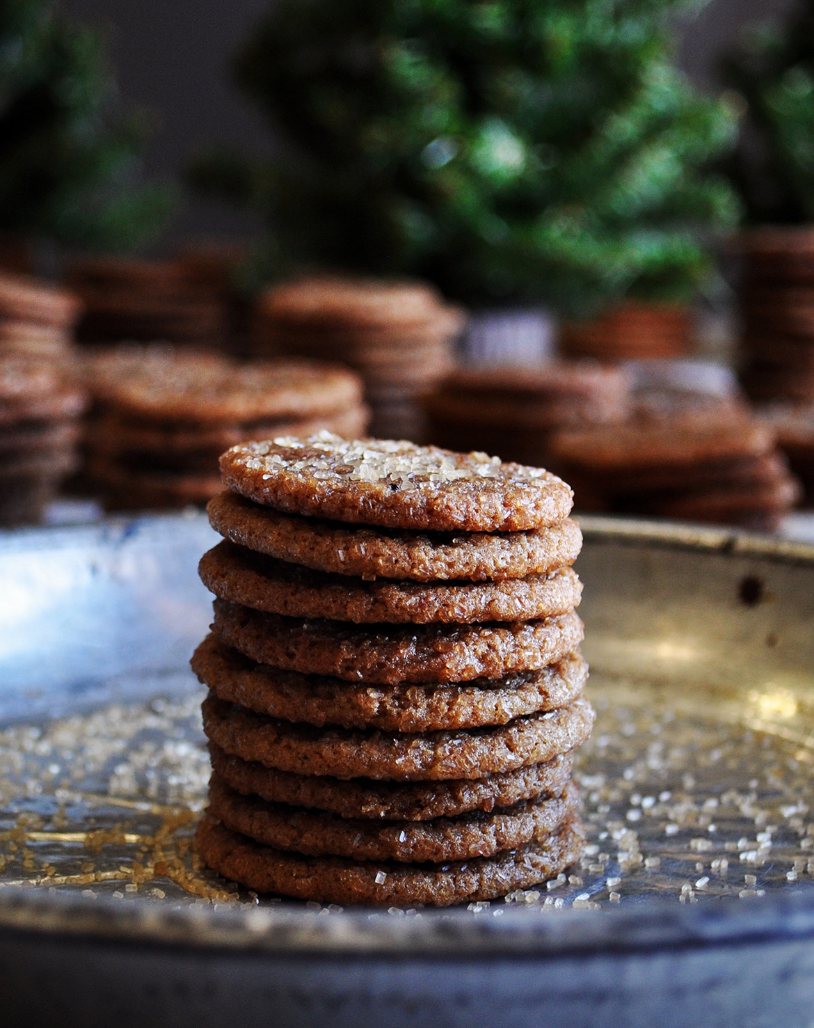 Chewy Sorghum Ginger Snap Cookies, plus how to throw a Christmas cookie exchange this holiday season! These hosting tips will help you to plan one awesome cookie swap party, including more than 40 recipes for our favorite holiday cookies ever! | glitterinc.com | @glitterinc