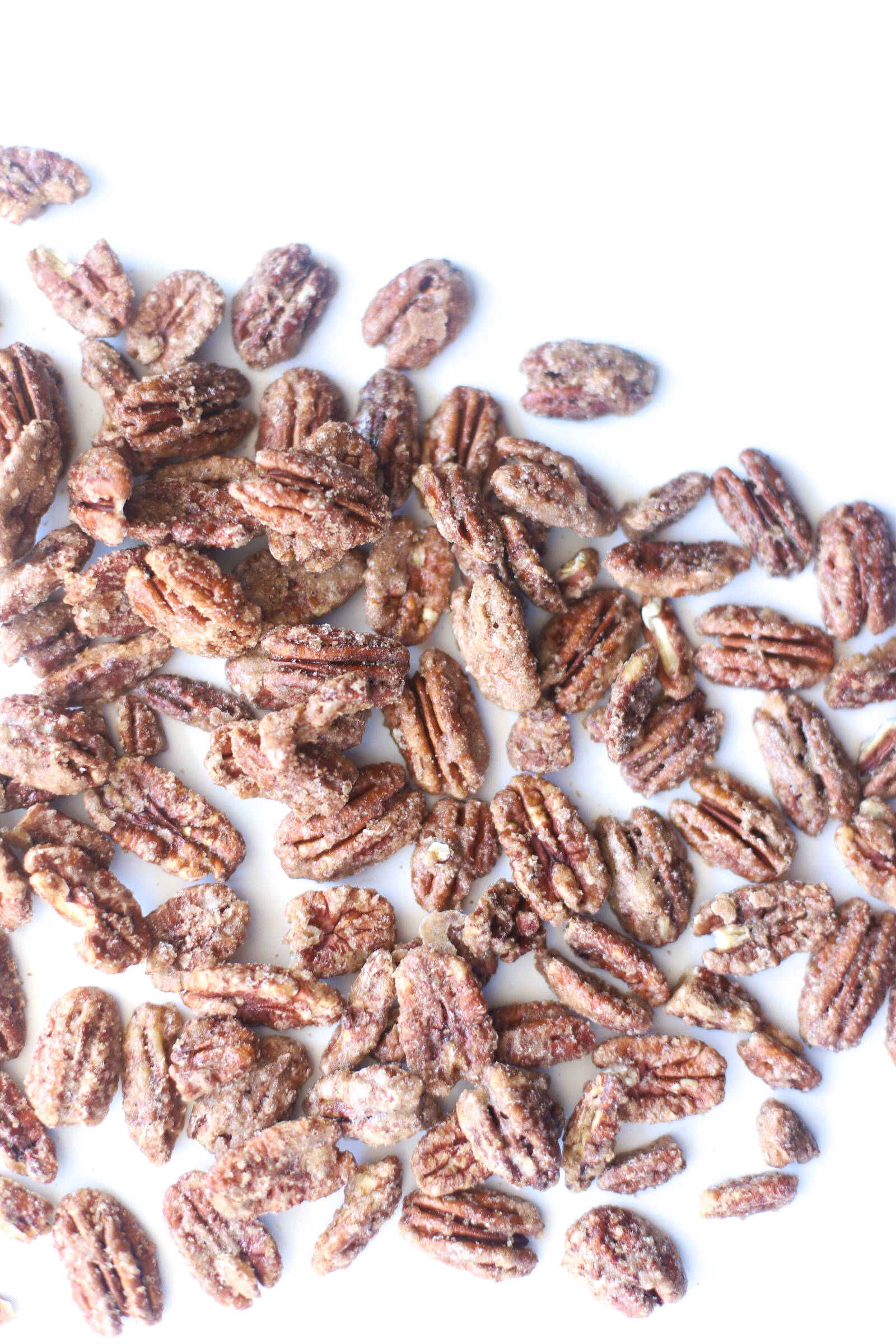 Candied Pecans are sweet, crunchy, and perfect for holiday parties and homemade gifts! These cinnamon-sugar roasted and spiced nuts are also super easy to make, especially in big batches. Click through for the recipe. | glitterinc.com | @glitterinc