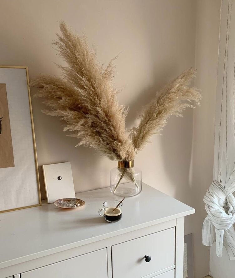 Weekly Finds, including this awesome Dried Pampas Grass and Fabric Defuzzer Shaver