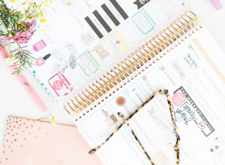How I Plan and Stay Organized with my Erin Condren LifePlanner