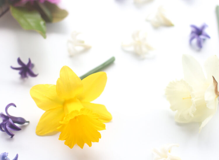 Spring Flowers - GLITTERINC.COM