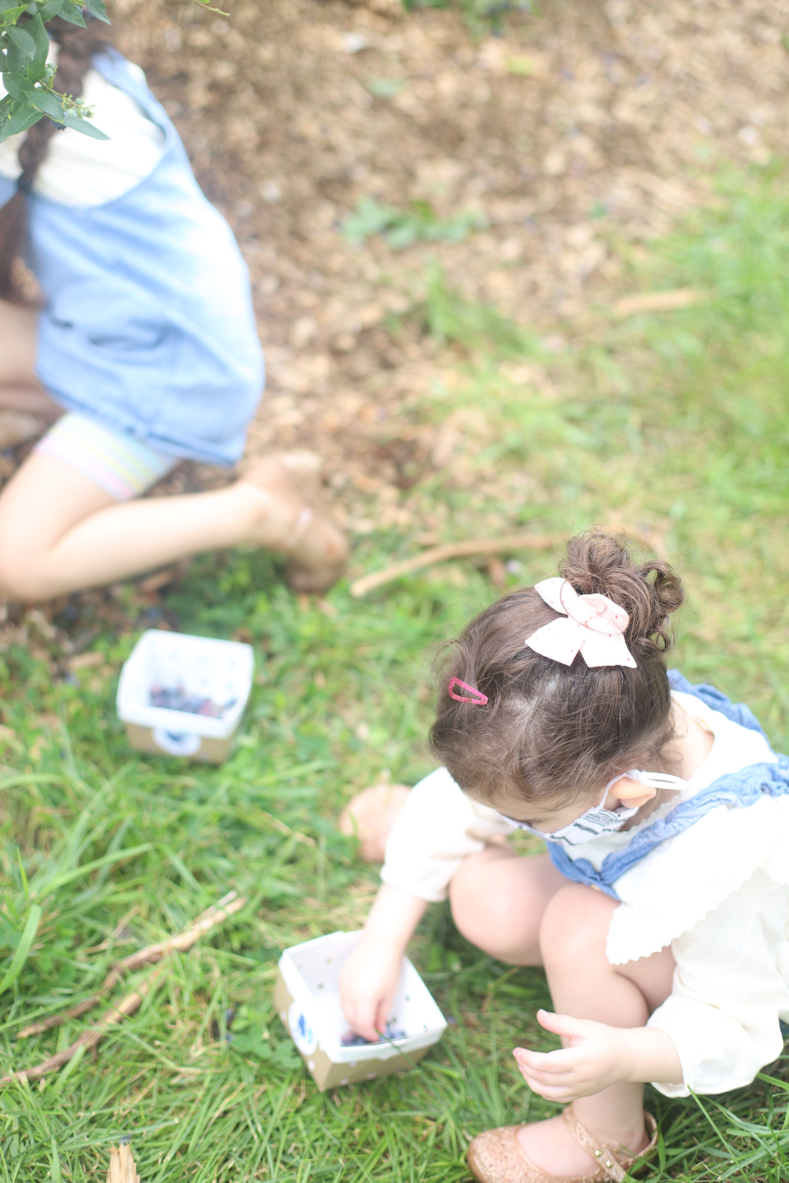 Looking for somewhere family-friendly to do a little berry picking around the Boston area this summer? We’ve founded the sweetest spot to pick blueberries, strawberries, and even cherries! | @glitterinclexi | GLITTERINC.COM