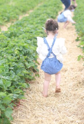 Berry Picking in the Boston Area - Family-Friendly Strawberry and Blueberry Farm in Massachusetts // GLITTERINC.COM