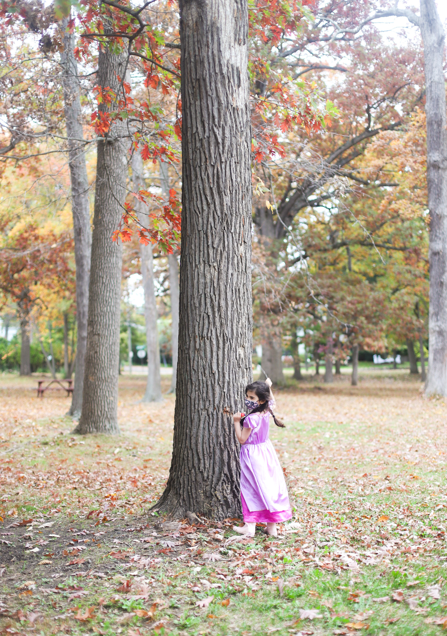 Exploring Elizabeth Rose Garden to see the Dahlias in the Fall in Hartford Connecticut | @glitterinclexi | GLITTERINC.COM