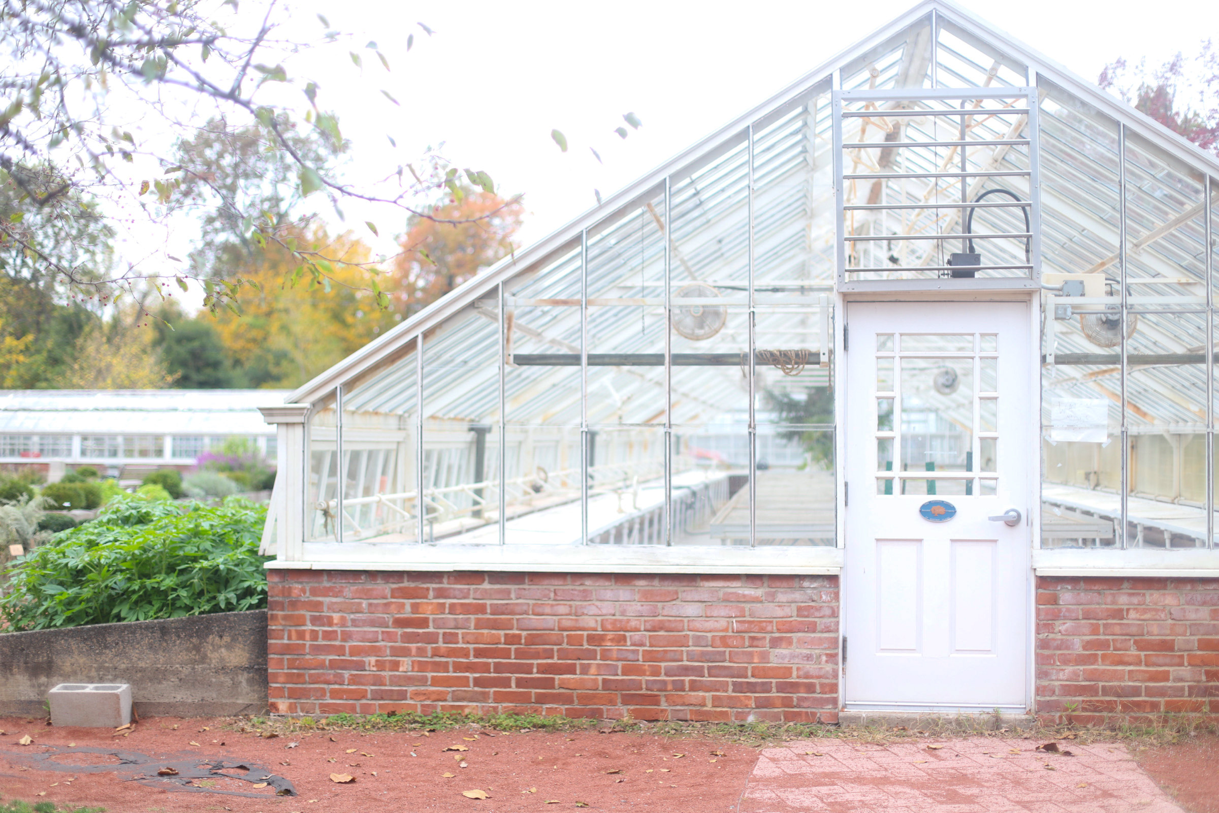 Exploring Elizabeth Rose Garden to see the Dahlias in the Fall in Hartford Connecticut | @glitterinclexi | GLITTERINC.COM