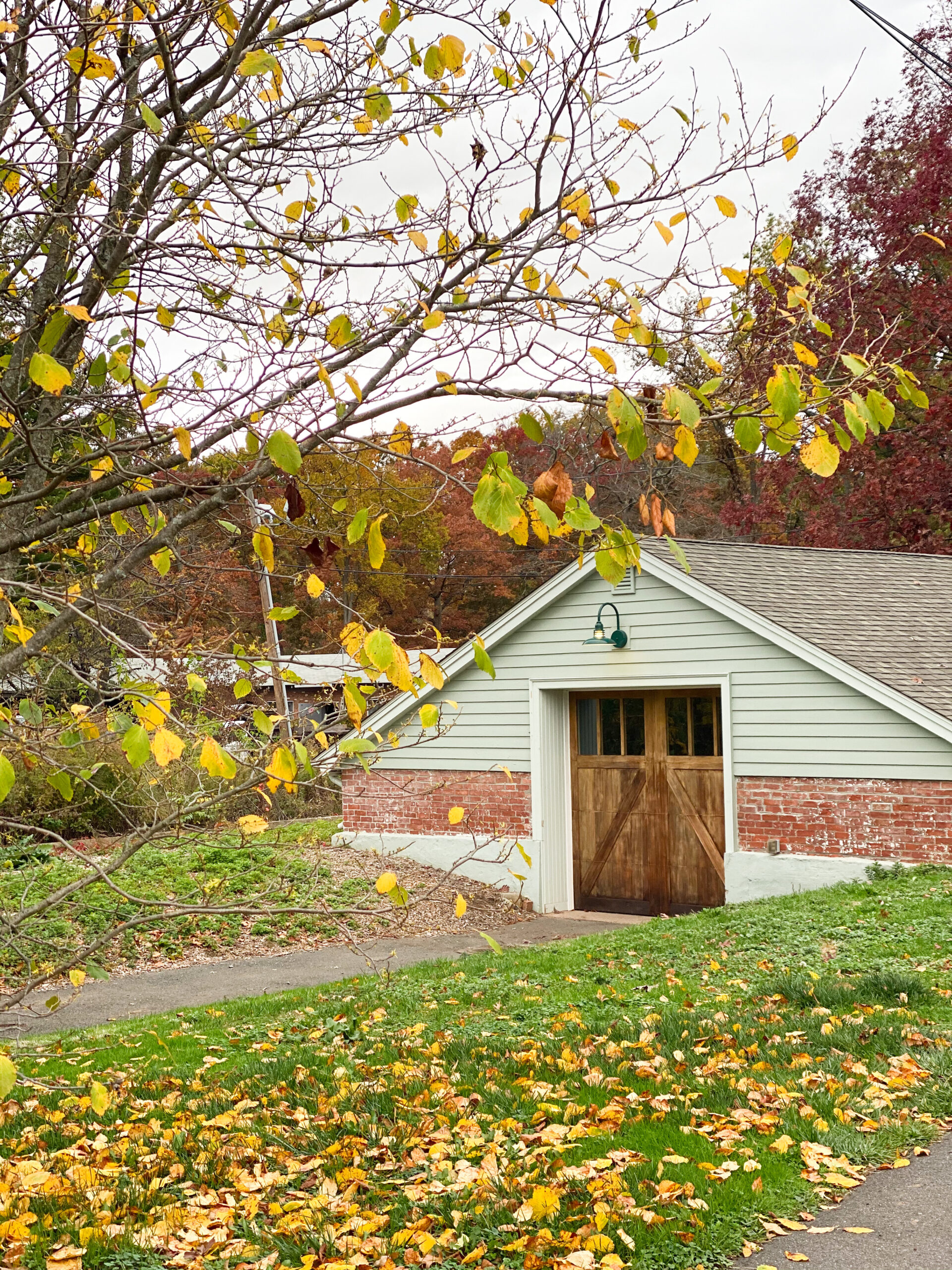 Exploring Elizabeth Rose Garden to see the Dahlias in the Fall in Hartford Connecticut | @glitterinclexi | GLITTERINC.COM