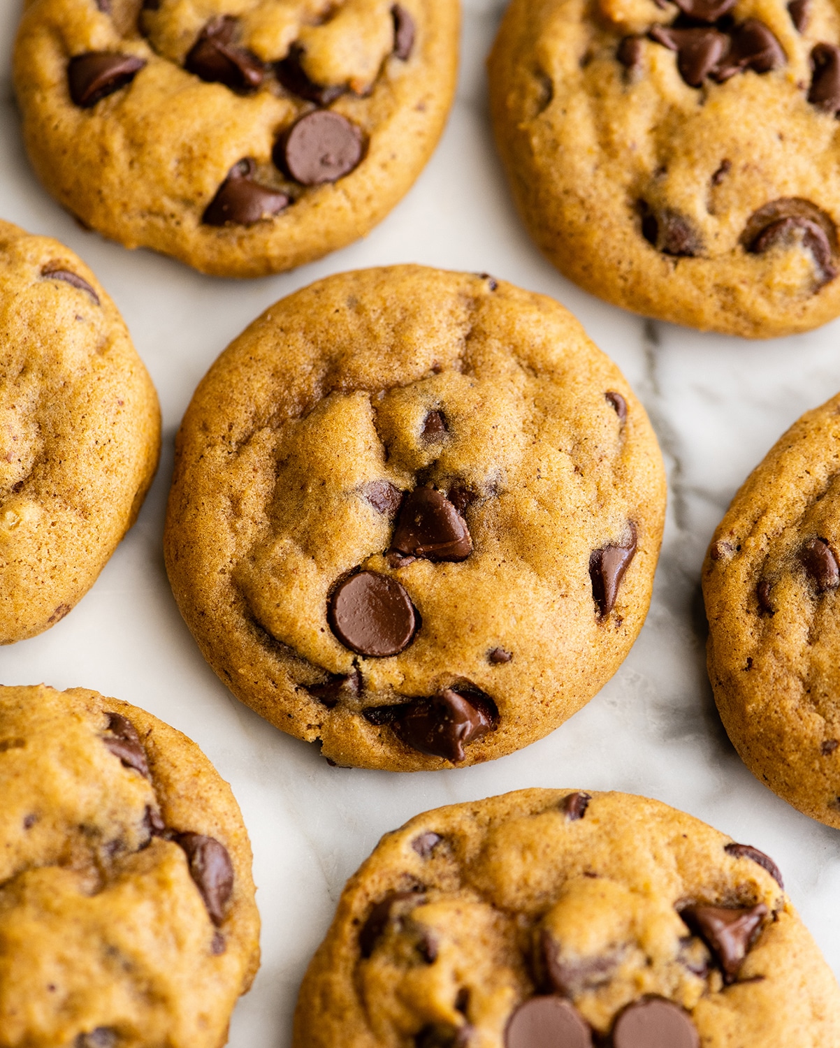 Pumpkin Chocolate Chip Cookies