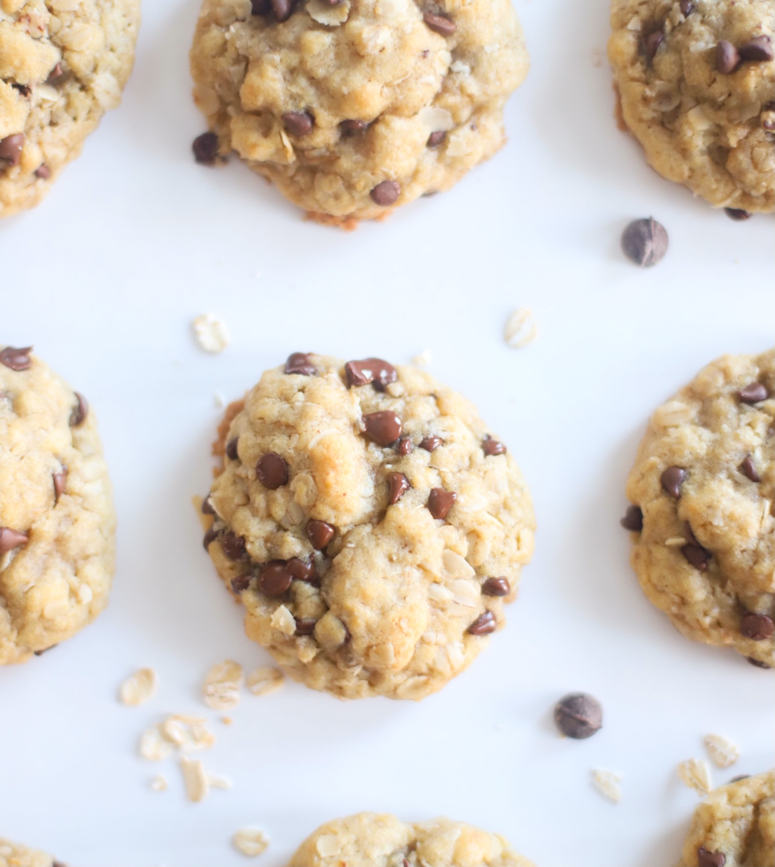 Hands down our very favorite oatmeal chocolate chip cookies, these heavenly oatmeal cookies are moist in the center, crisp and chewy on the outside, and totally delicious. They’re also super easy to make all in one bowl, and can easily be made dairy-free, vegan, or gluten-free! | @glitterinclexi | GLITTERINC.COM