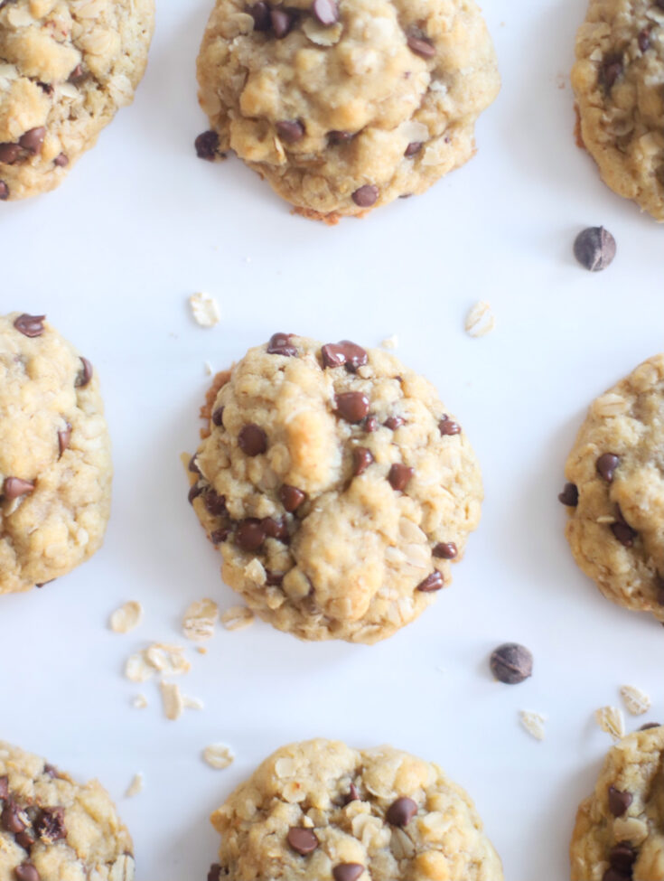 Hands down our very favorite oatmeal chocolate chip cookies, these heavenly oatmeal cookies are moist in the center, crisp and chewy on the outside, and totally delicious. They’re also super easy to make all in one bowl, and can easily be made dairy-free, vegan, or gluten-free! | @glitterinclexi | GLITTERINC.COM