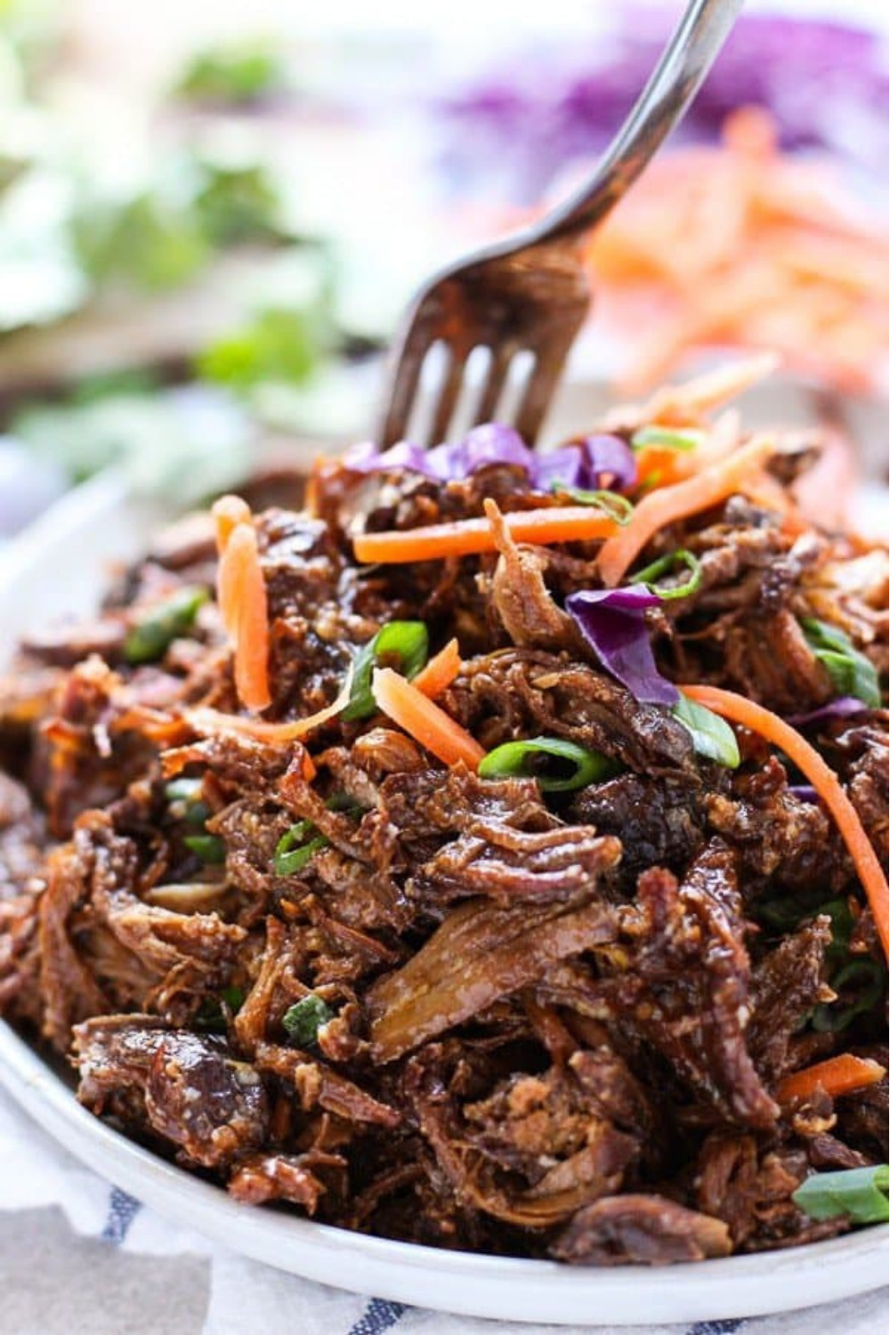 65 Easy Instant Pot + Crockpot Dinner Recipes | Crockpot Asian Shredded Pork