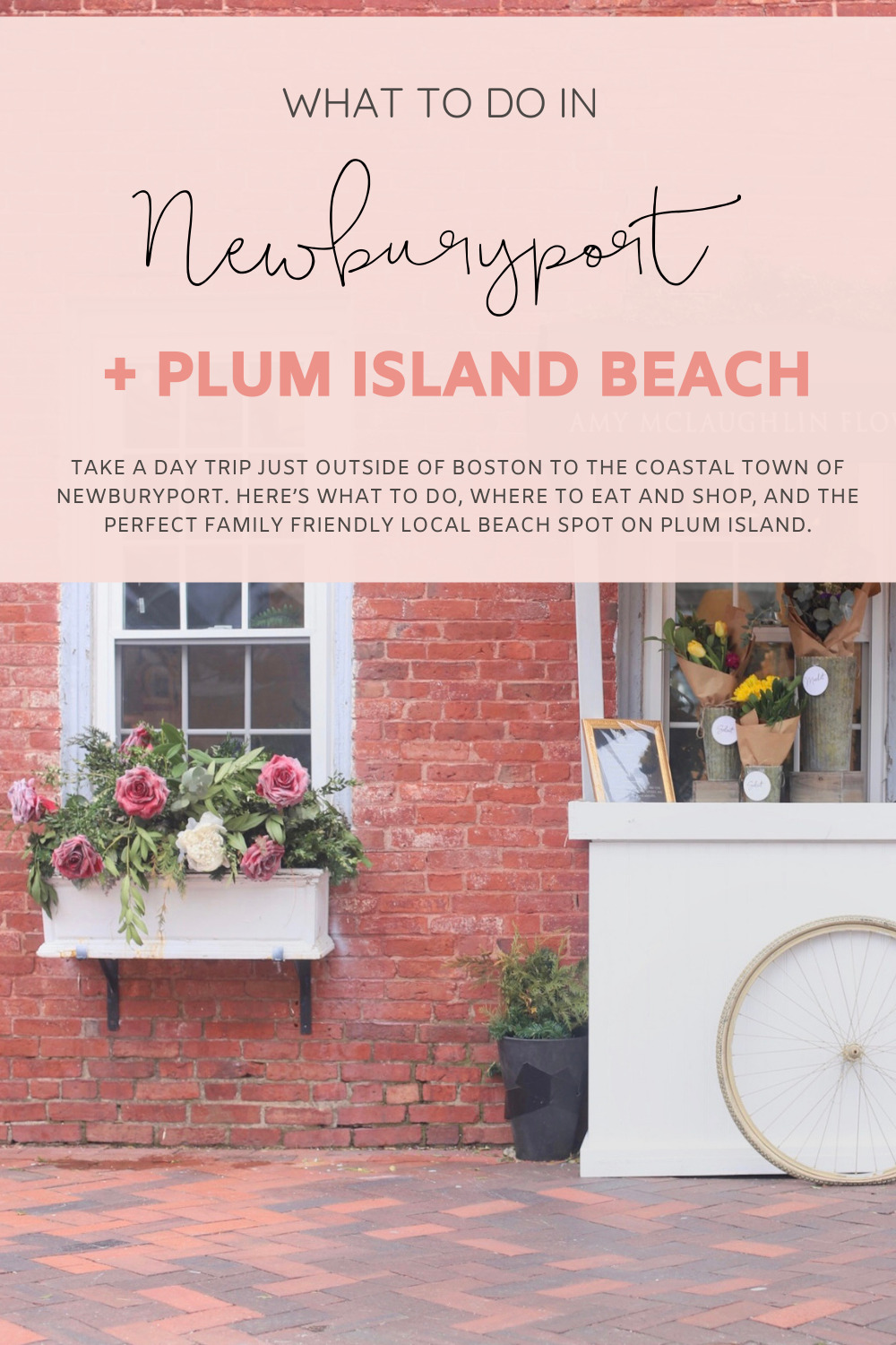 Weekend Recap Including Our Beach Day Photo Diary of Plum Island in NewburyPort MA | @glitterinclexi | GLITTERINC.COM