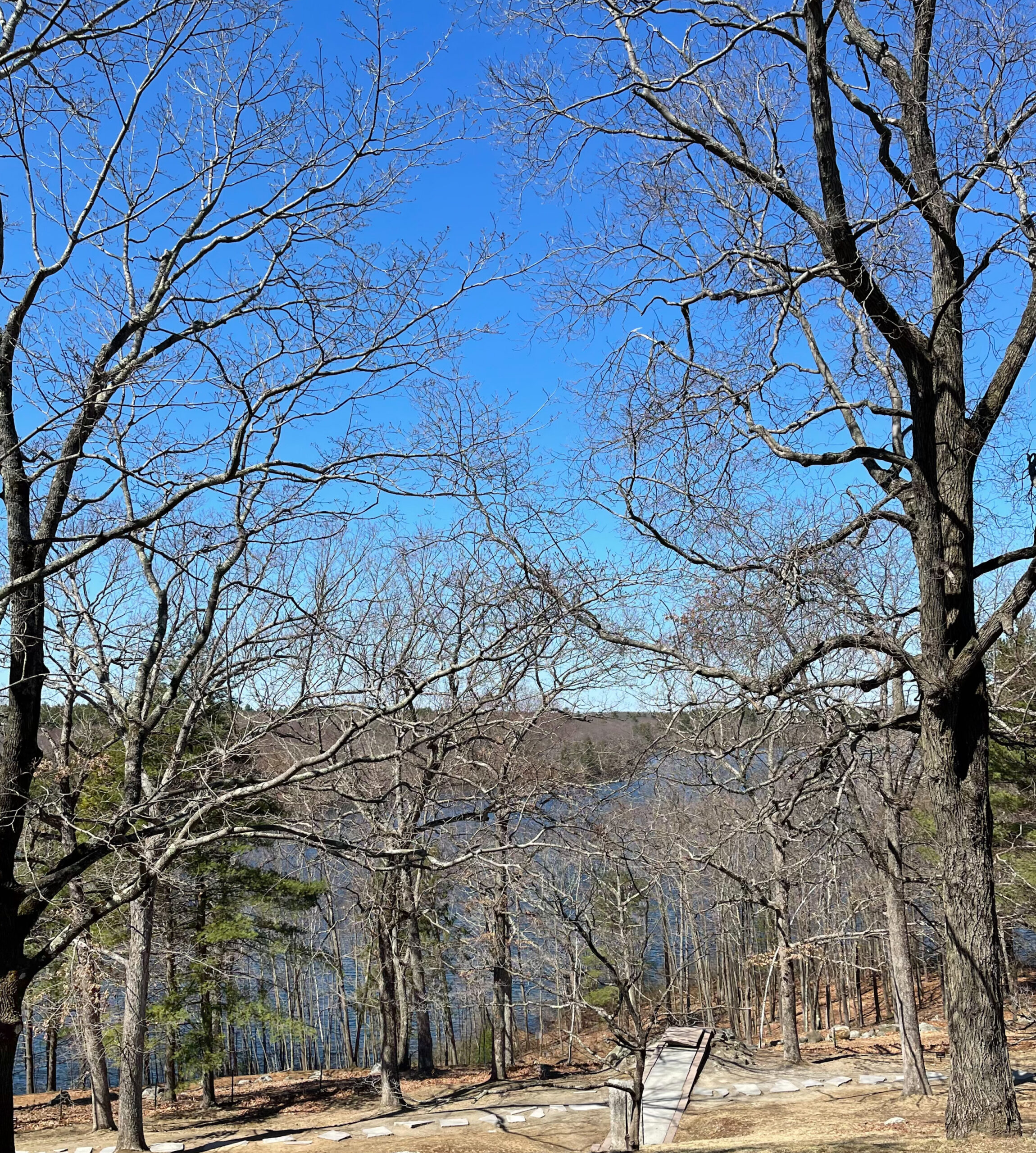 Exploring Boston - deCordova Sculpture Park in Lincoln Massachusetts - Visiting with Young Kids | @glitterinclexi | GLITTERINC.COM