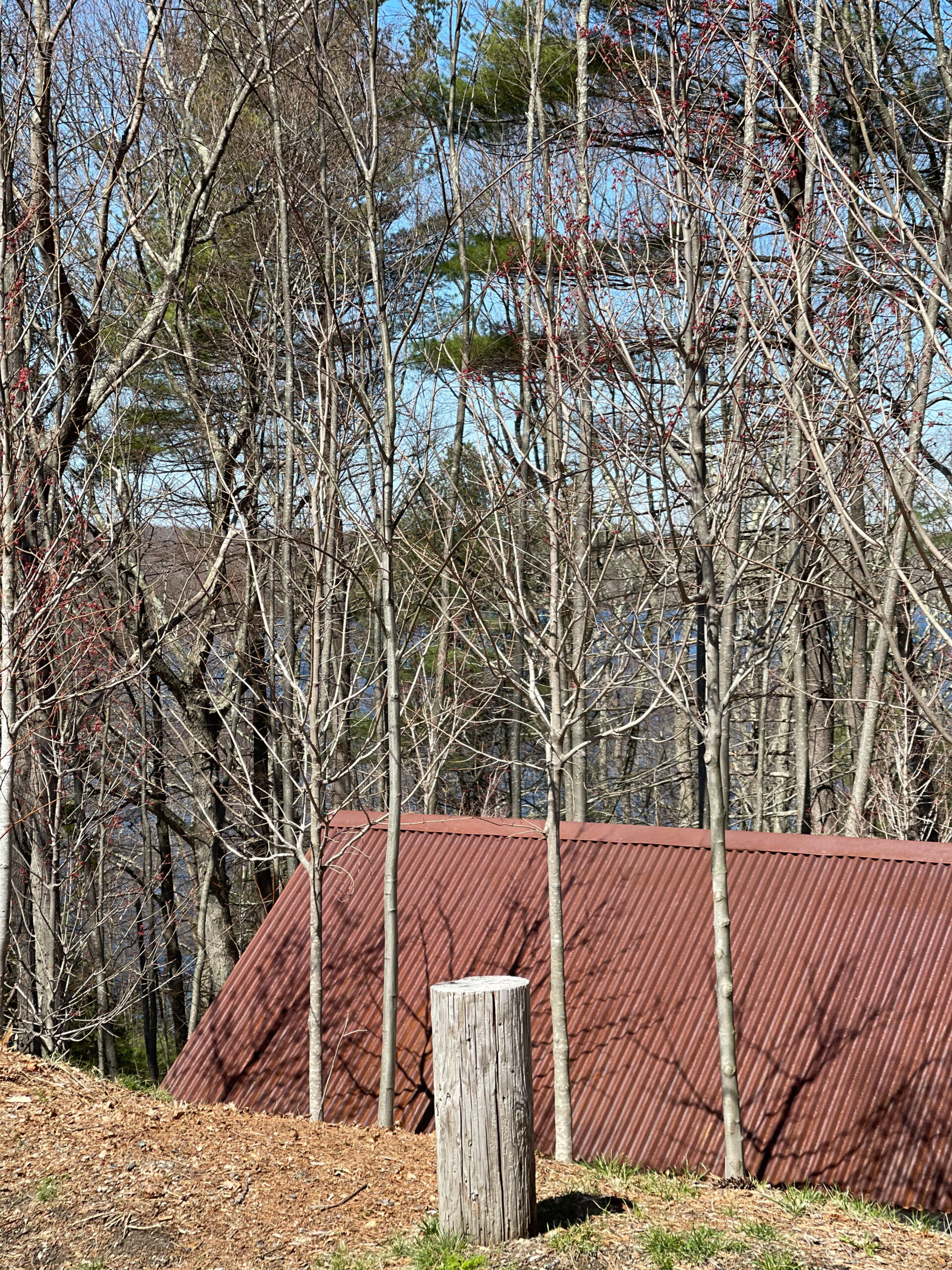 Exploring Boston - deCordova Sculpture Park in Lincoln Massachusetts - Visiting with Young Kids | @glitterinclexi | GLITTERINC.COM