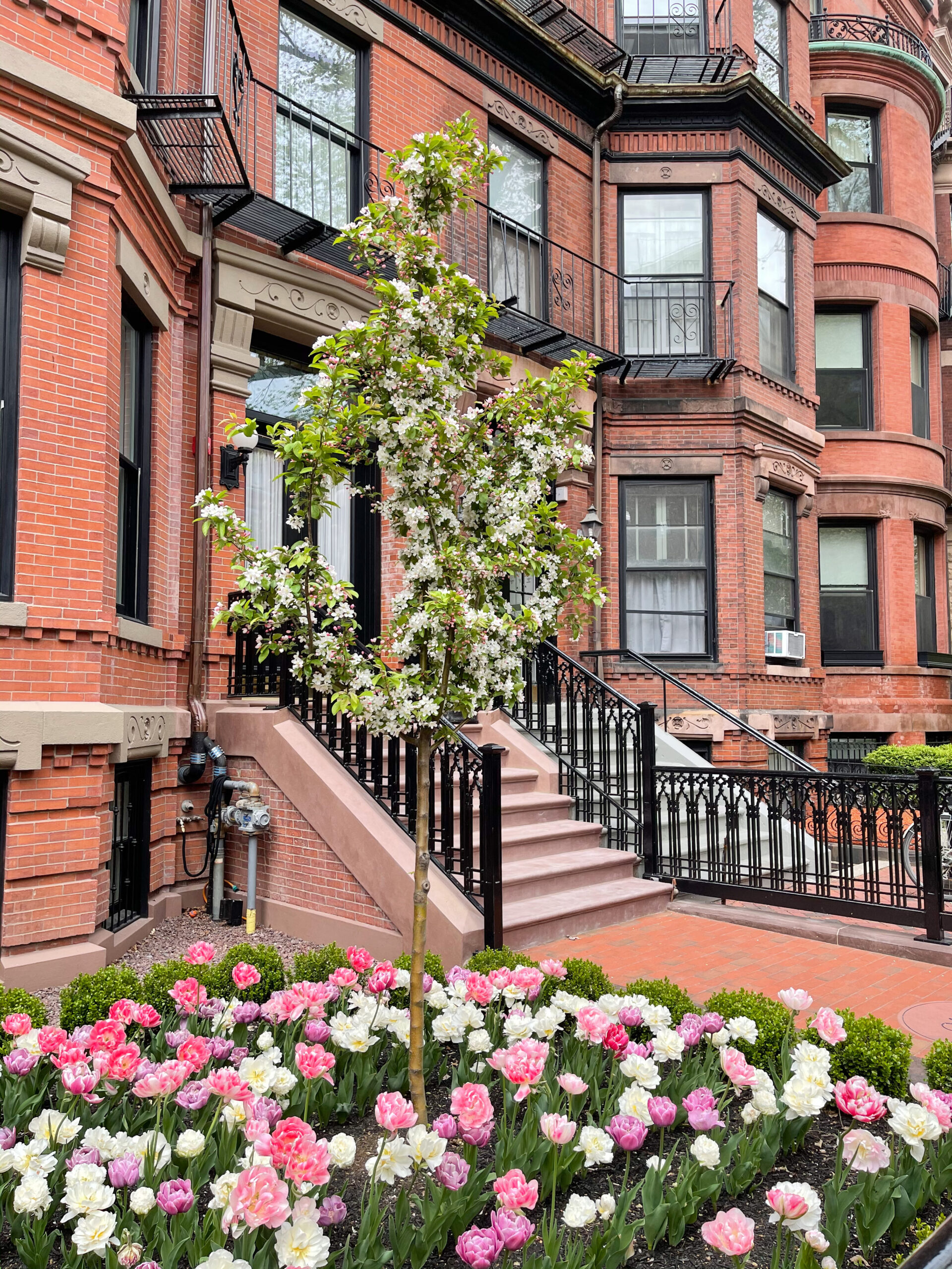 exterior of homes in Back Bay for Mother's Day Weekend Plans