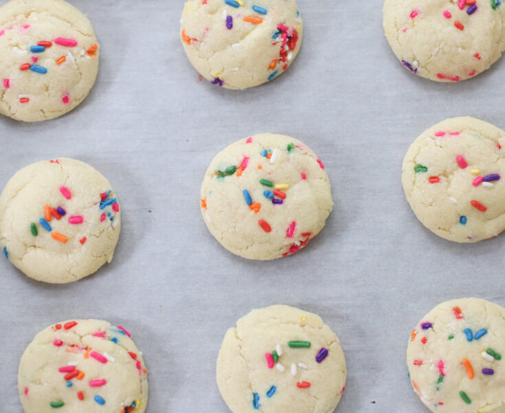 Dairy Free Sprinkle Sugar Cookies