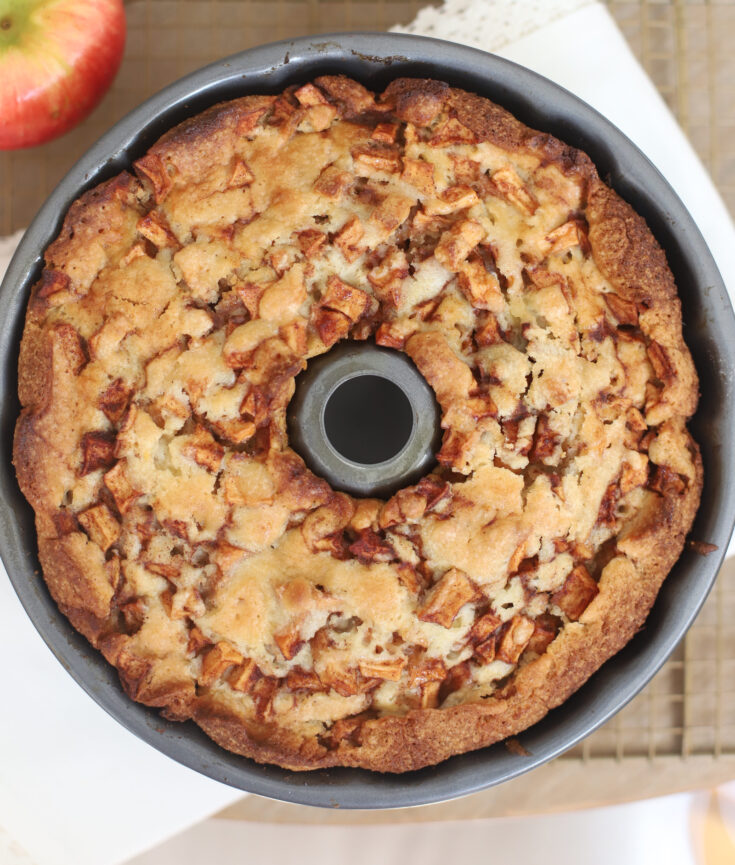 Classic Apple Cake - This Super Moist Jewish Cake is the Perfect Fall Dessert - GLITTERINC.COM