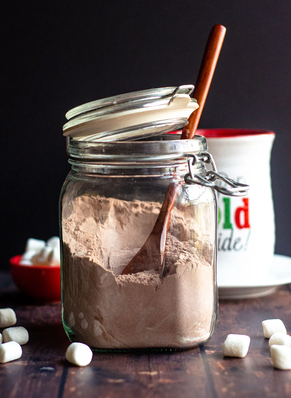 Homemade Hot Cocoa Mix - A Perfect Holiday Gift
