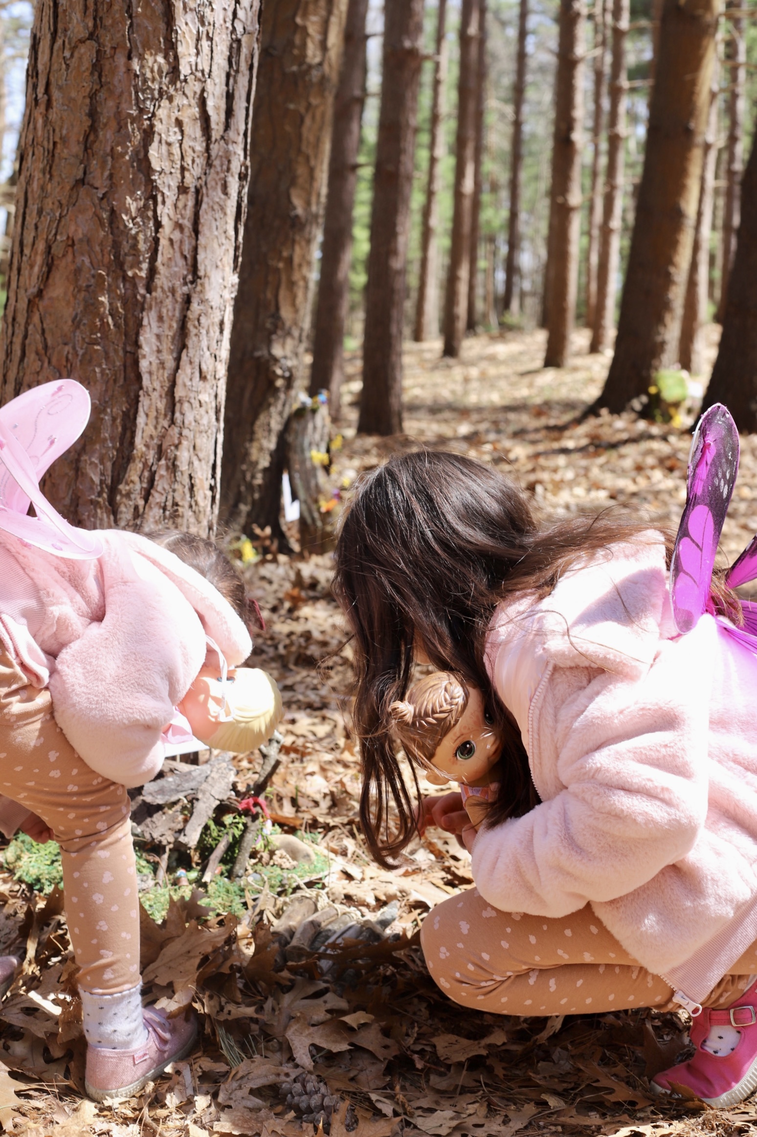 We found a fairy wonderland just outside of Newburyport (about an hour North of Boston) at Pettengill Farm in Salisbury. The annual Fairy Gnome Discovery Walk and Salisbury Art Stroll might be my new favorite family-friendly spring event. | @glitterinclexi | GLITTERINC.COM