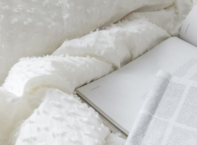 H&M King/Queen Duvet Cover Set with Plumeti