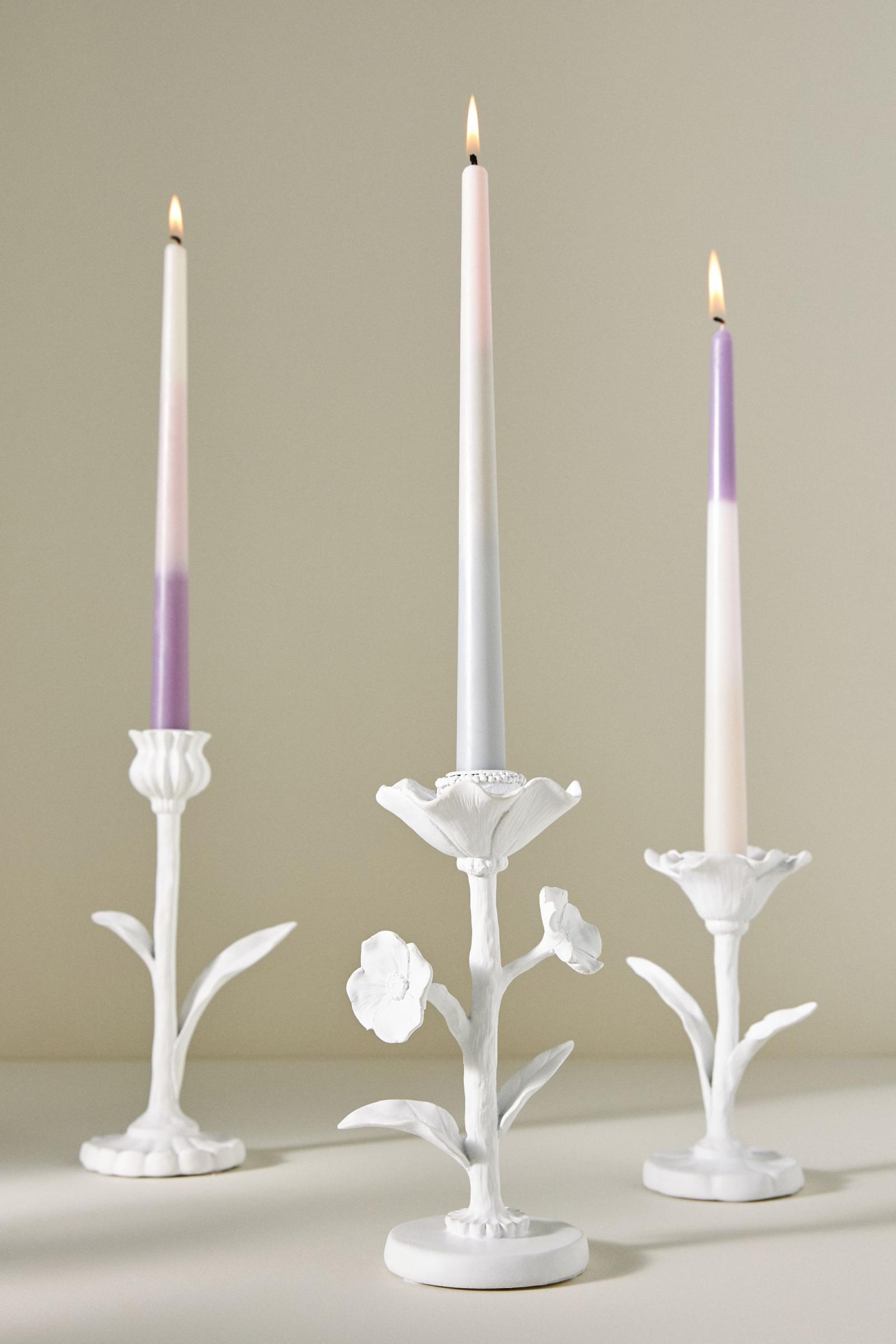 Fiori Arte Taper Candle Holders