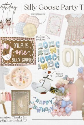 One Silly Goose First Birthday Party Theme - 1st Birthday Party Idea