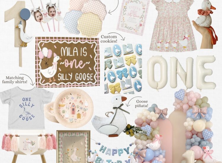 One Silly Goose First Birthday Party Theme - 1st Birthday Party Idea