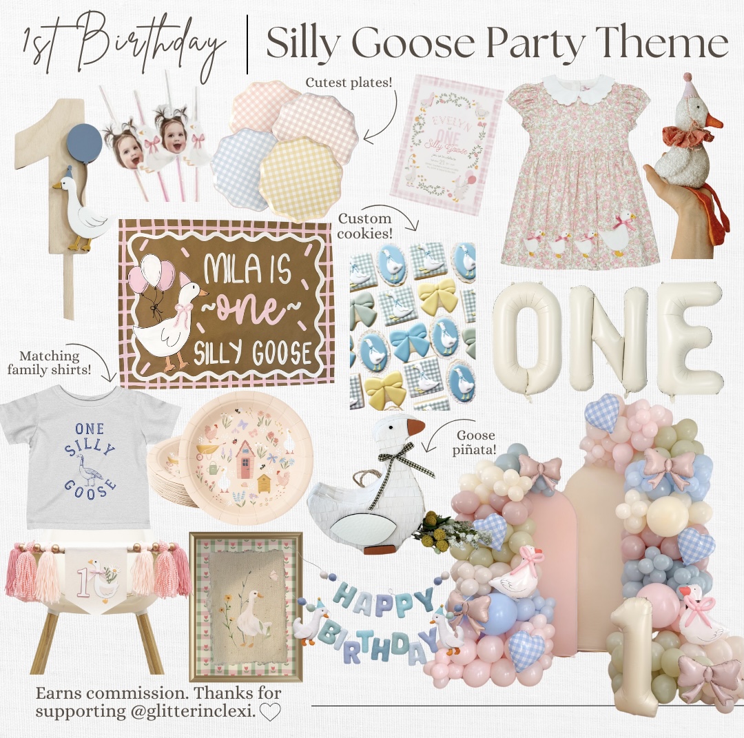 One Silly Goose First Birthday Party Theme - 1st Birthday Party Idea